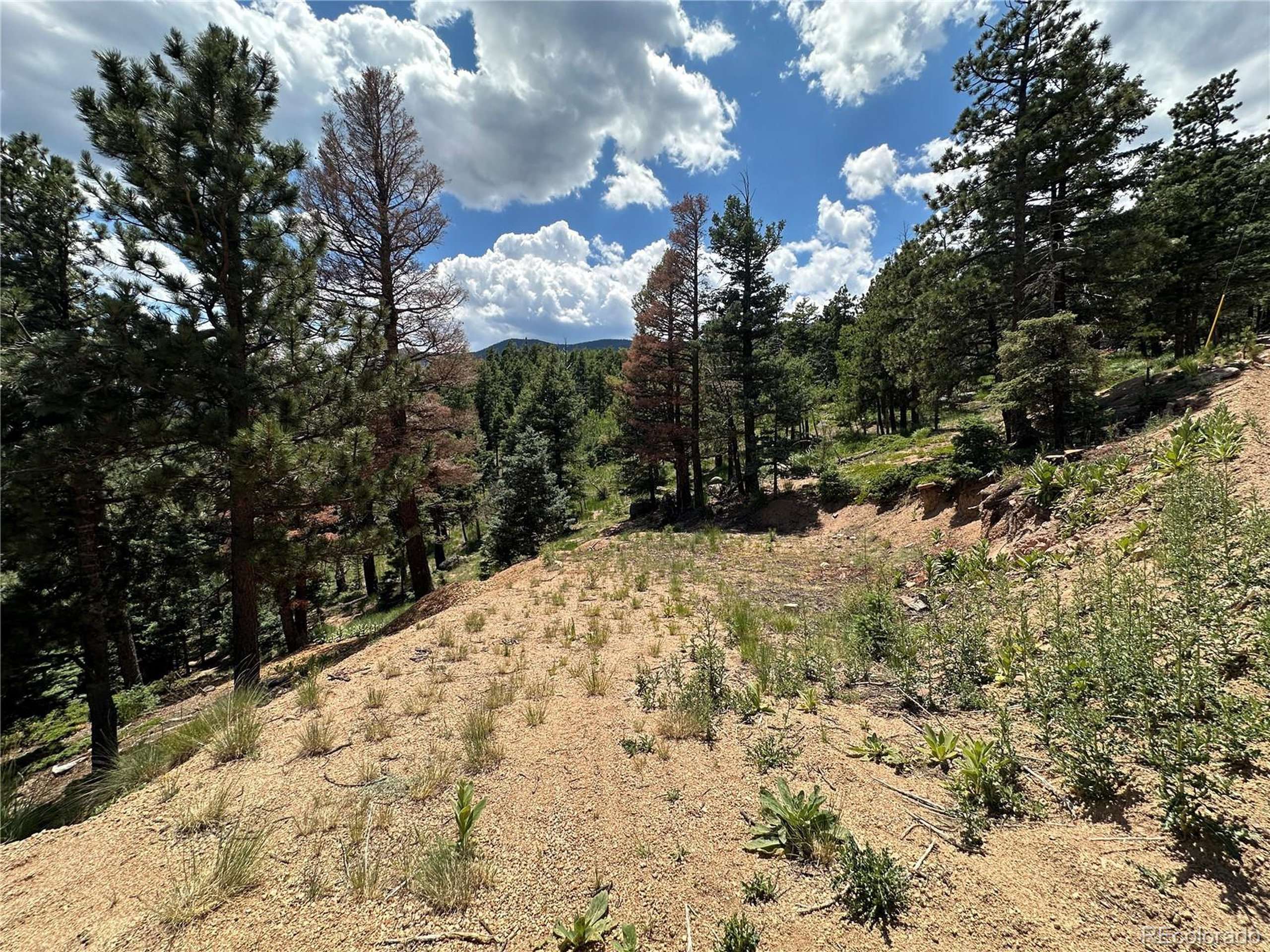 Manitou Springs, CO 80829,6860 Eagle Mountain