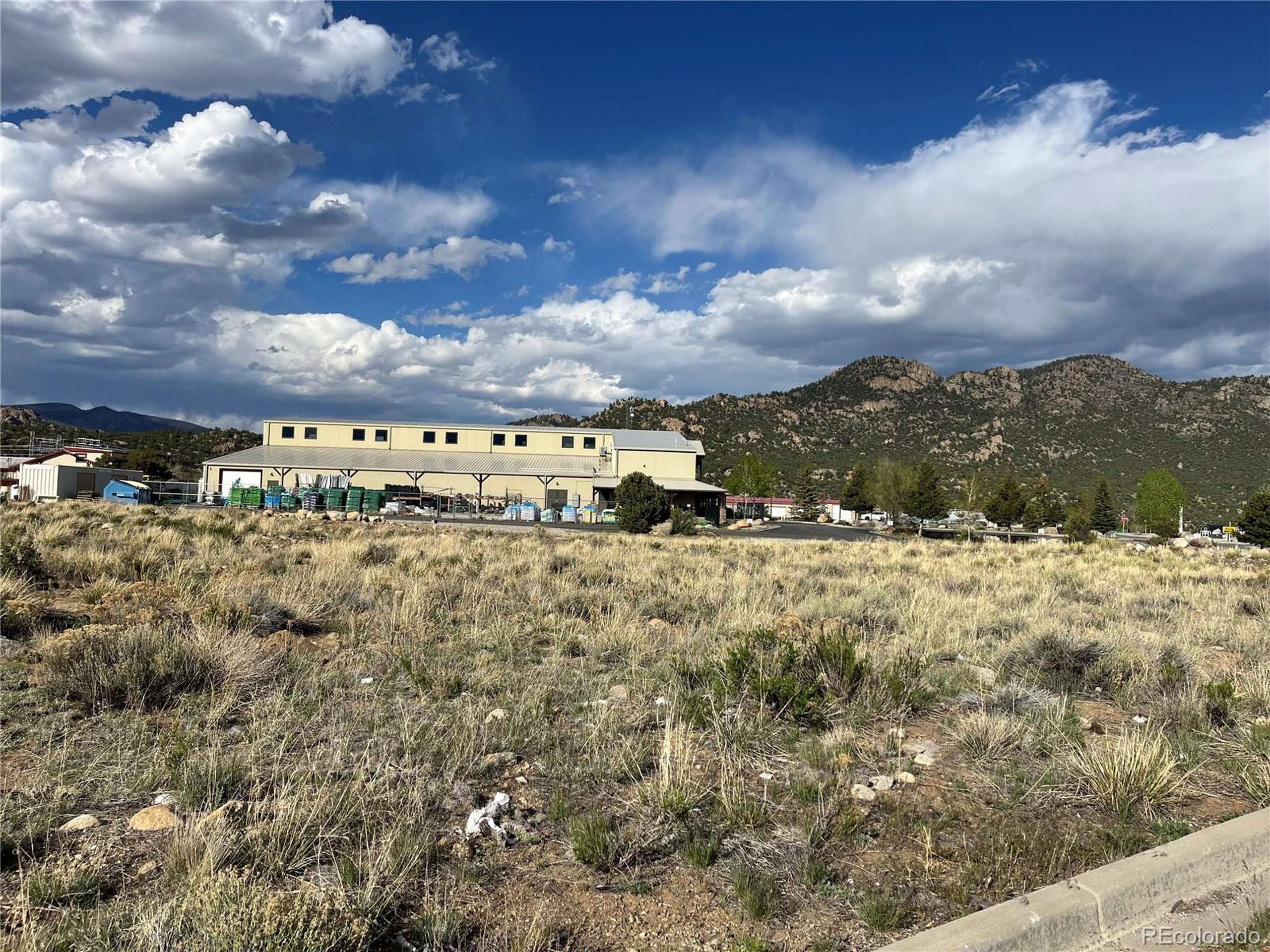 Buena Vista, CO 81211,120 Harrison Ave
