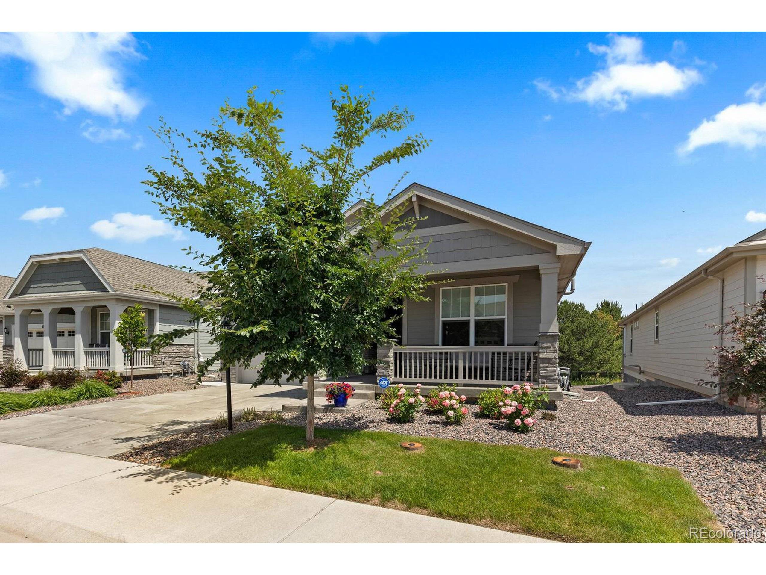 Thornton, CO 80602,15802 Xanthia Way