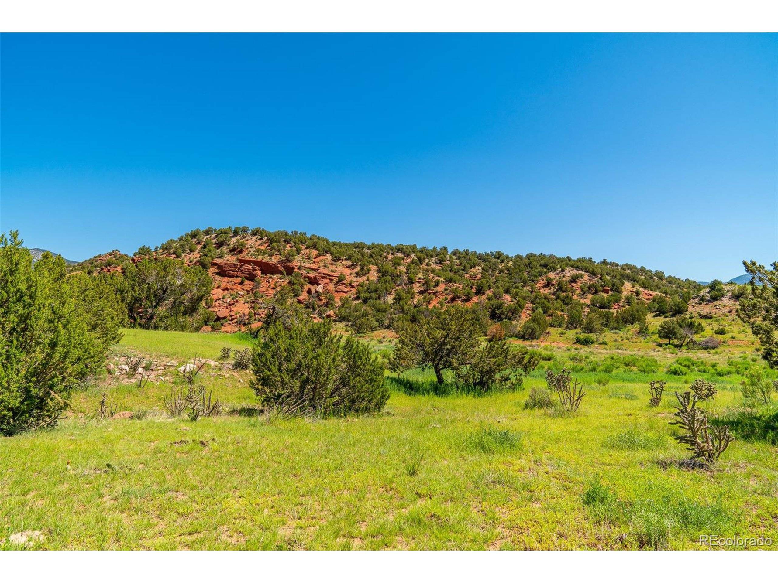 Canon City, CO 81215,Rice Mountain Way