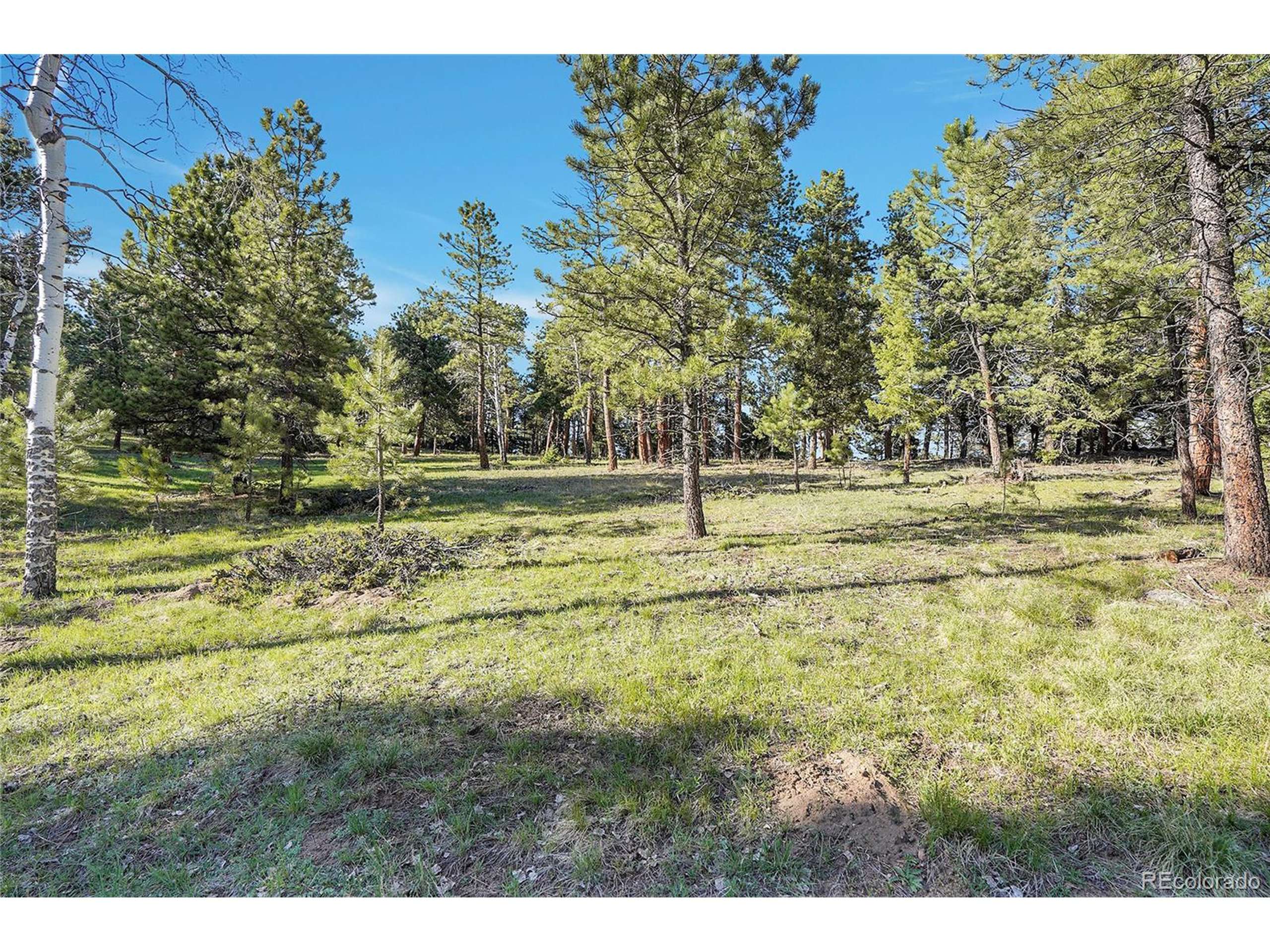 Conifer, CO 80433,Molly Dr, Lot #1