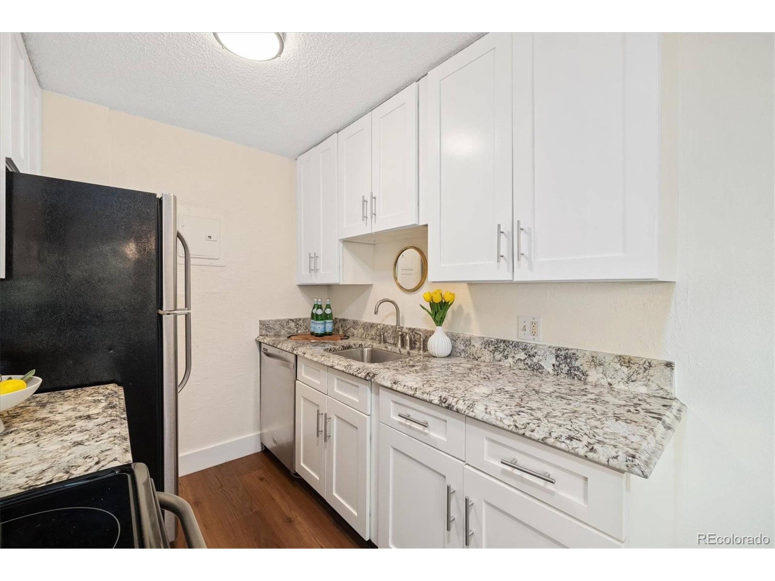 Denver, CO 80218,1233 N Ogden St #312