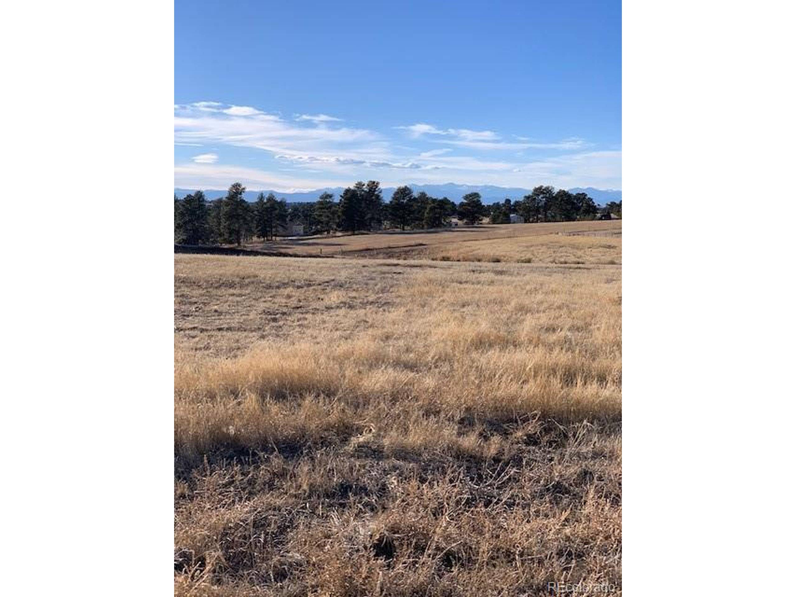 Parker, CO 80138,10631 Shadow Pines Rd