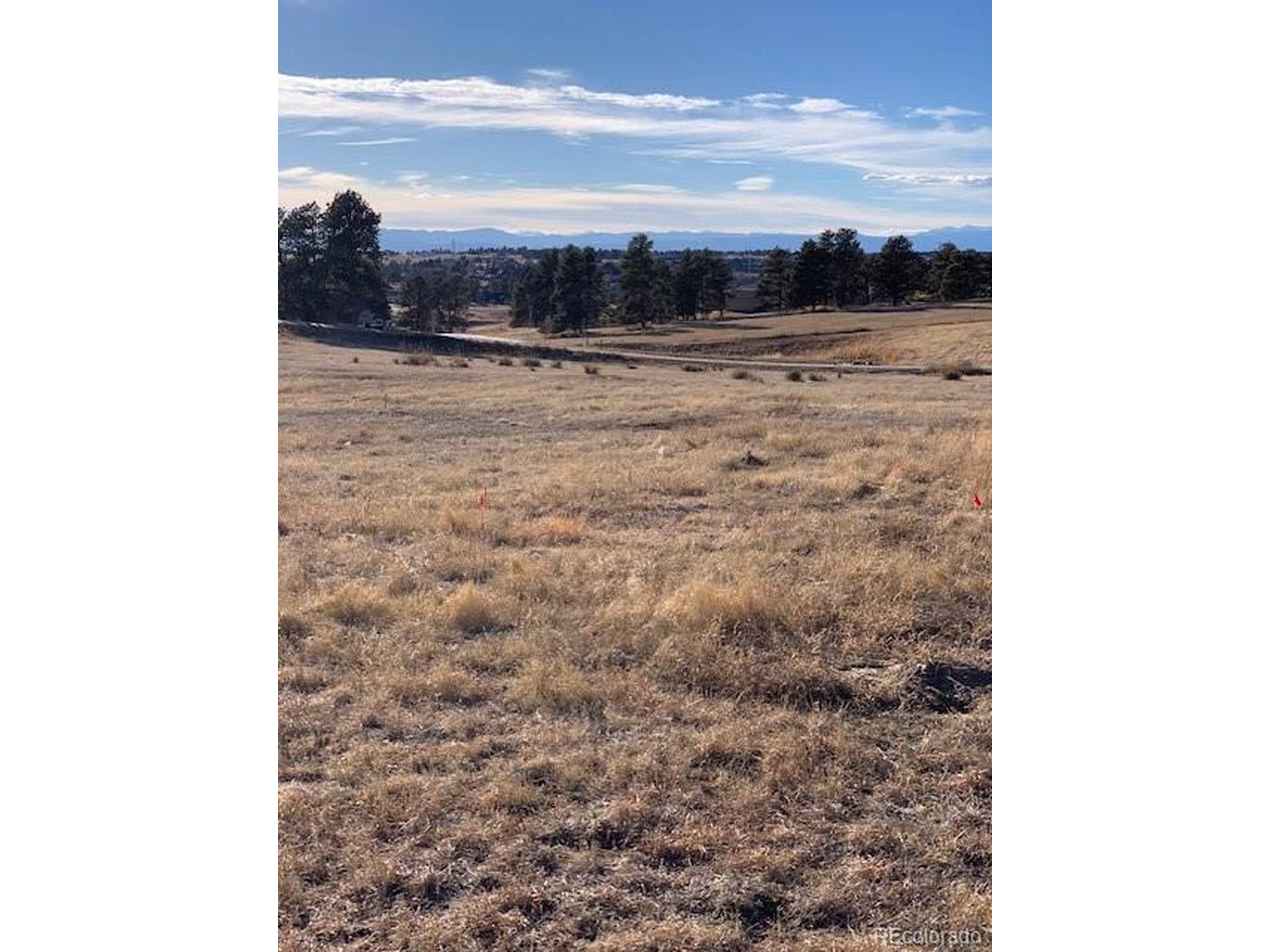 Parker, CO 80138,10631 Shadow Pines Rd