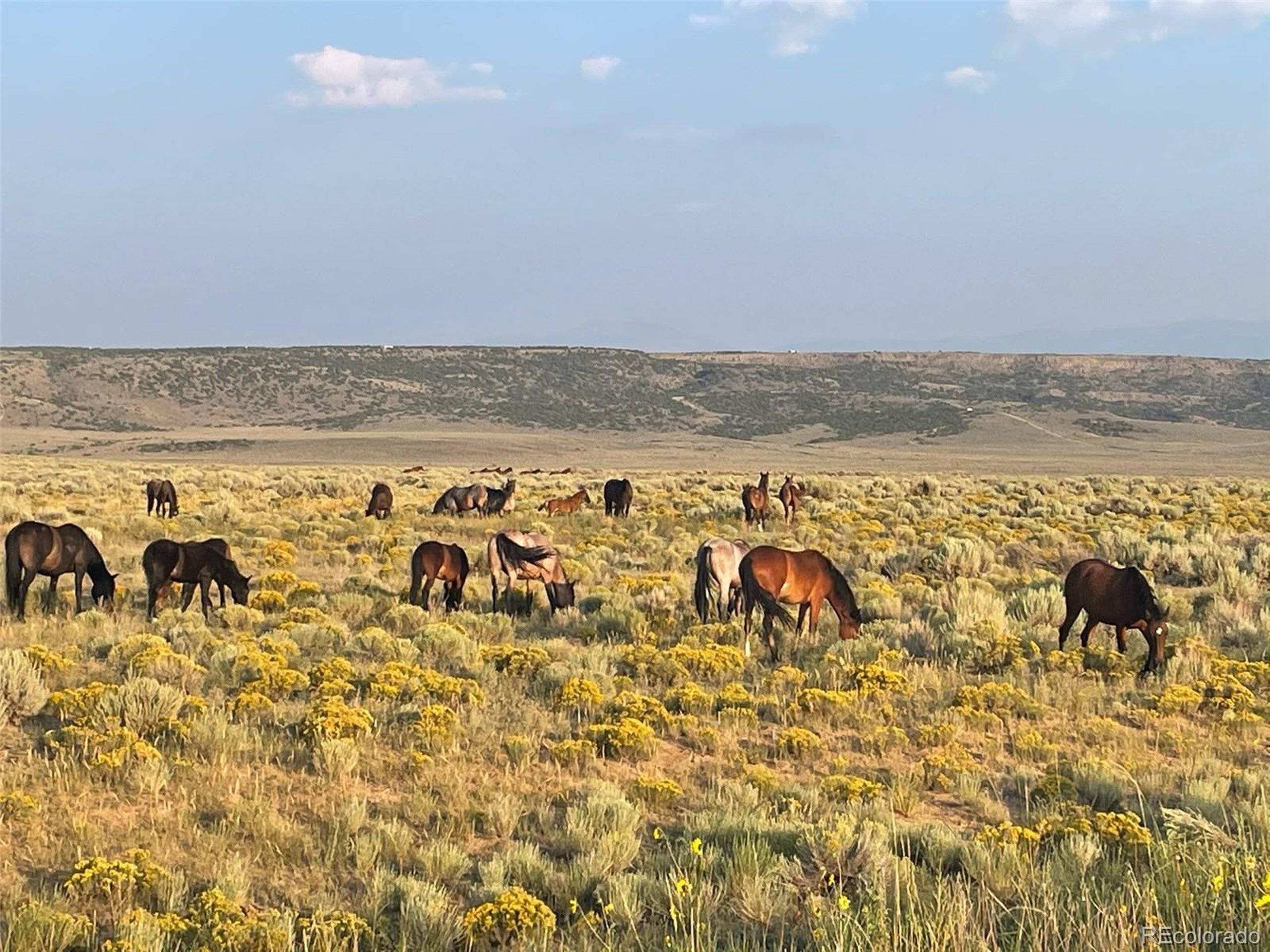 Manassa, CO 81152,State Highway 159