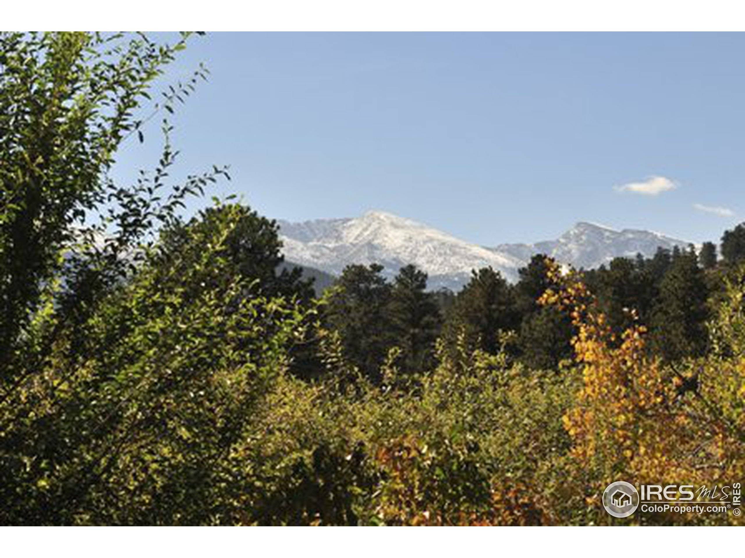 Estes Park, CO 80517,1707 Mills Dr