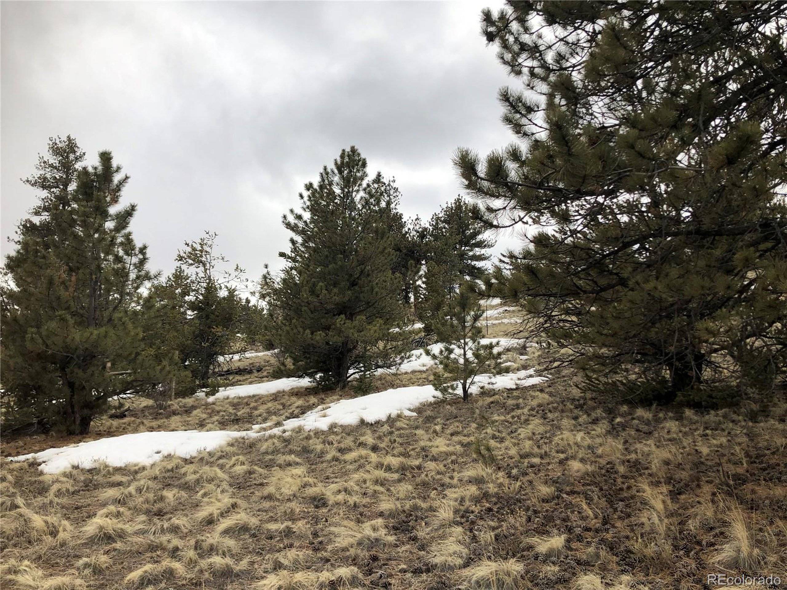 Hartsel, CO 80449,133 Joyce Ln