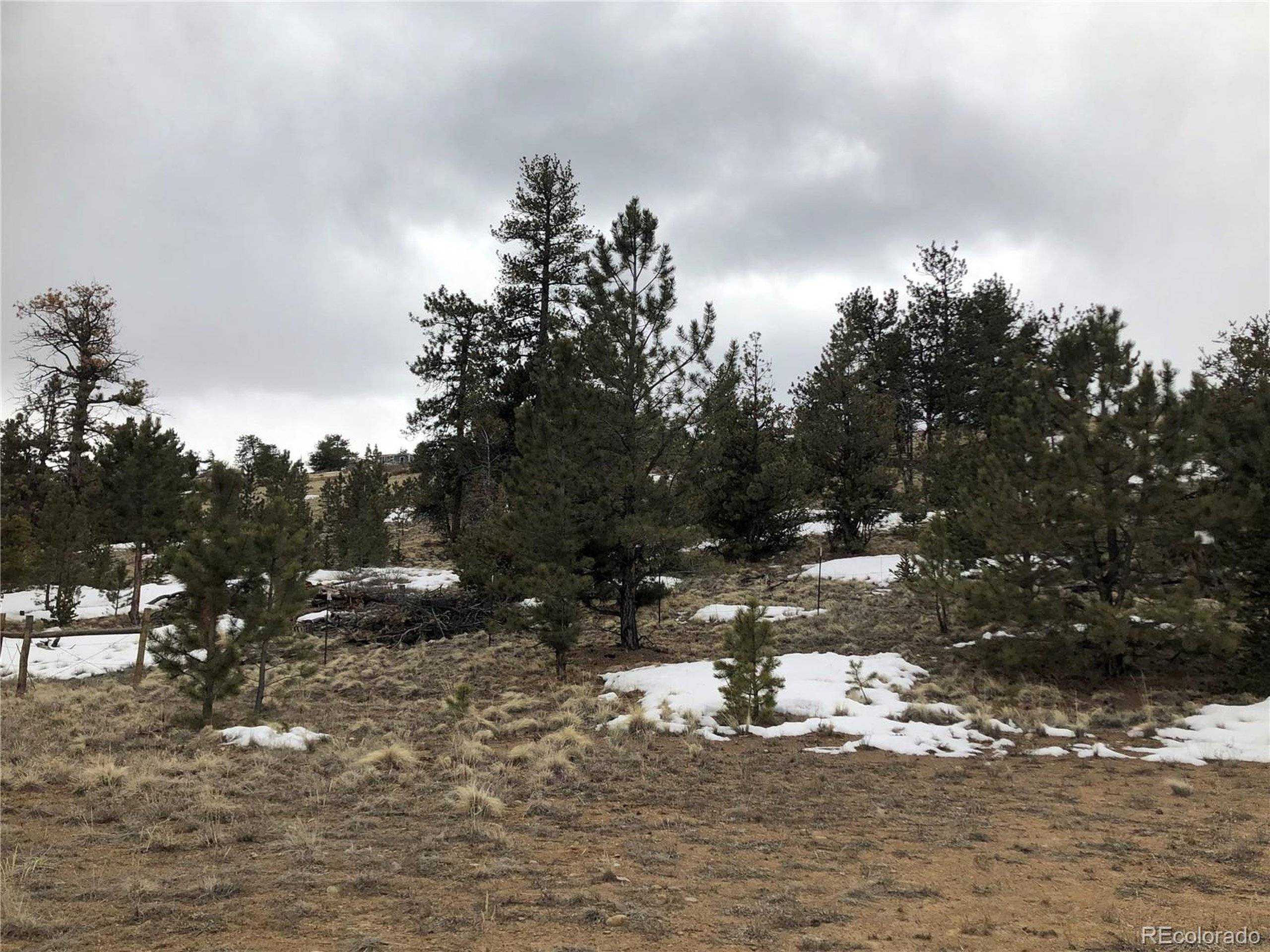 Hartsel, CO 80449,133 Joyce Ln