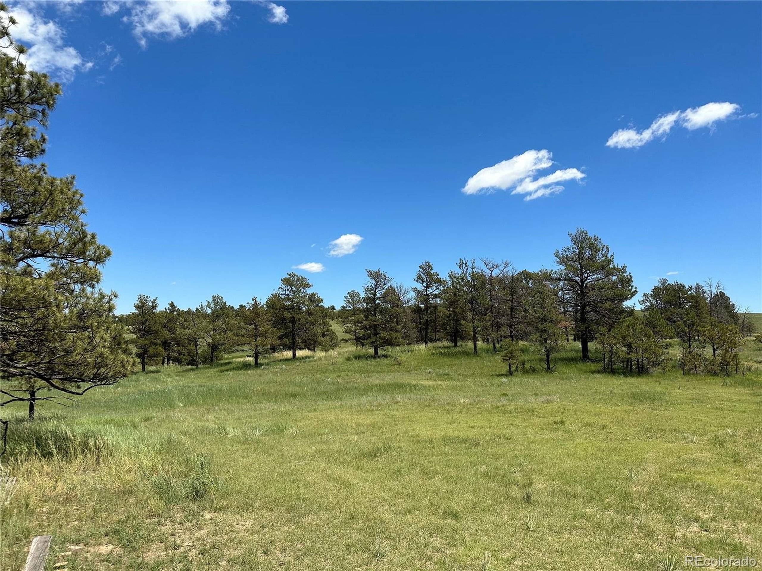 Ramah, CO 80832,1 Cattle Circle