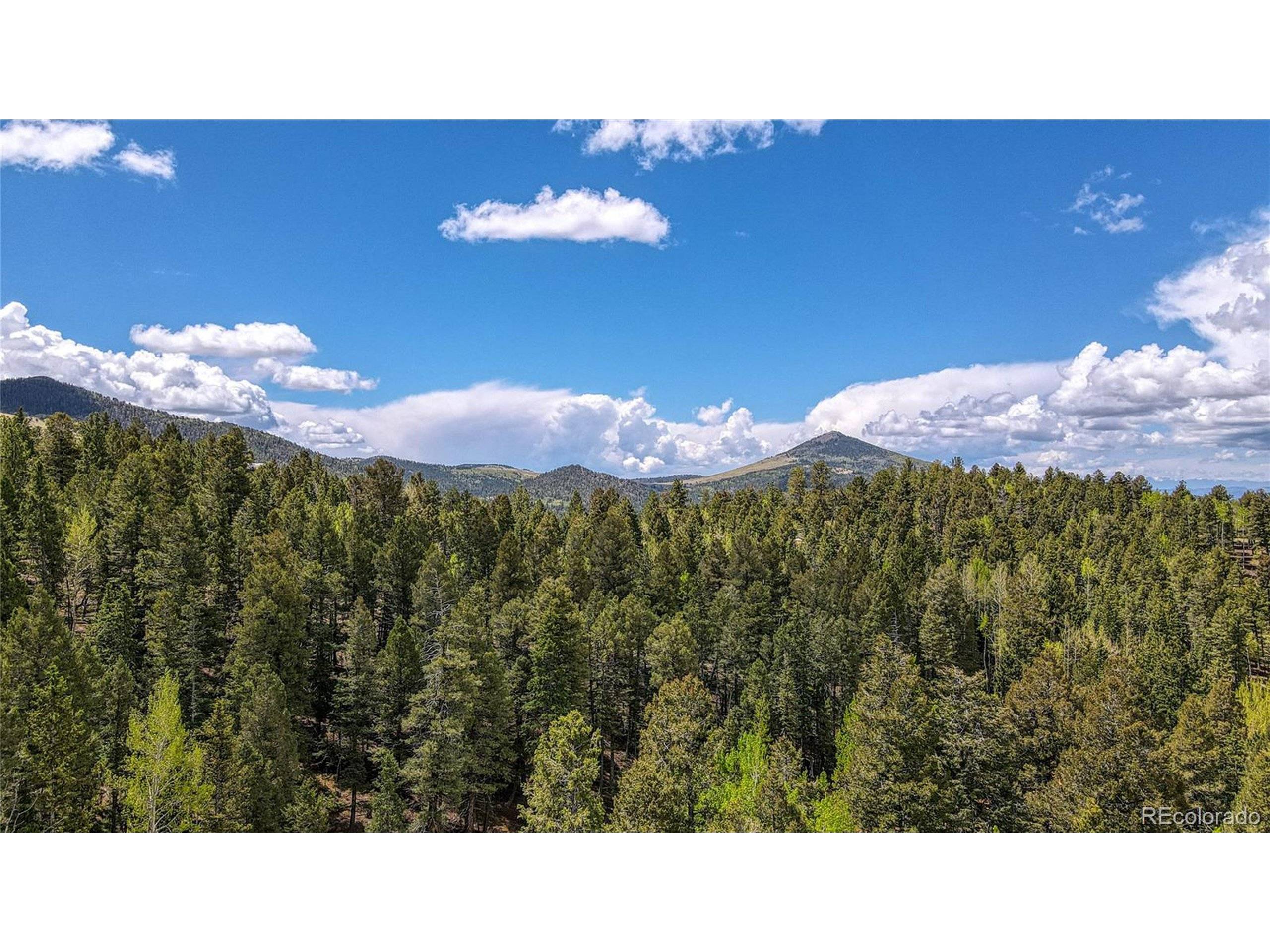 Cripple Creek, CO 80813,1058 Bennett Dr