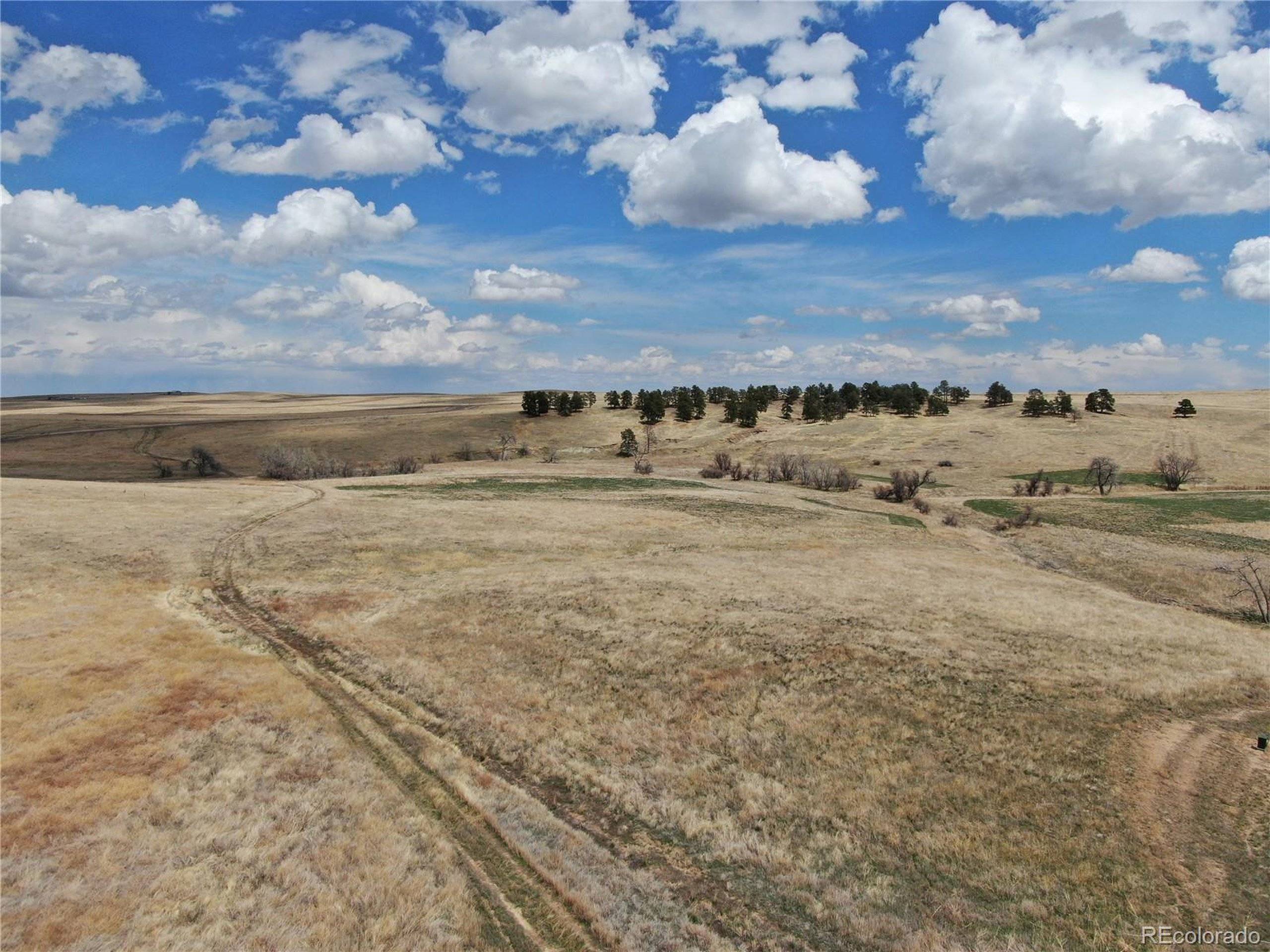 Kiowa, CO 80117,0 LOT 48 Wendling Trl