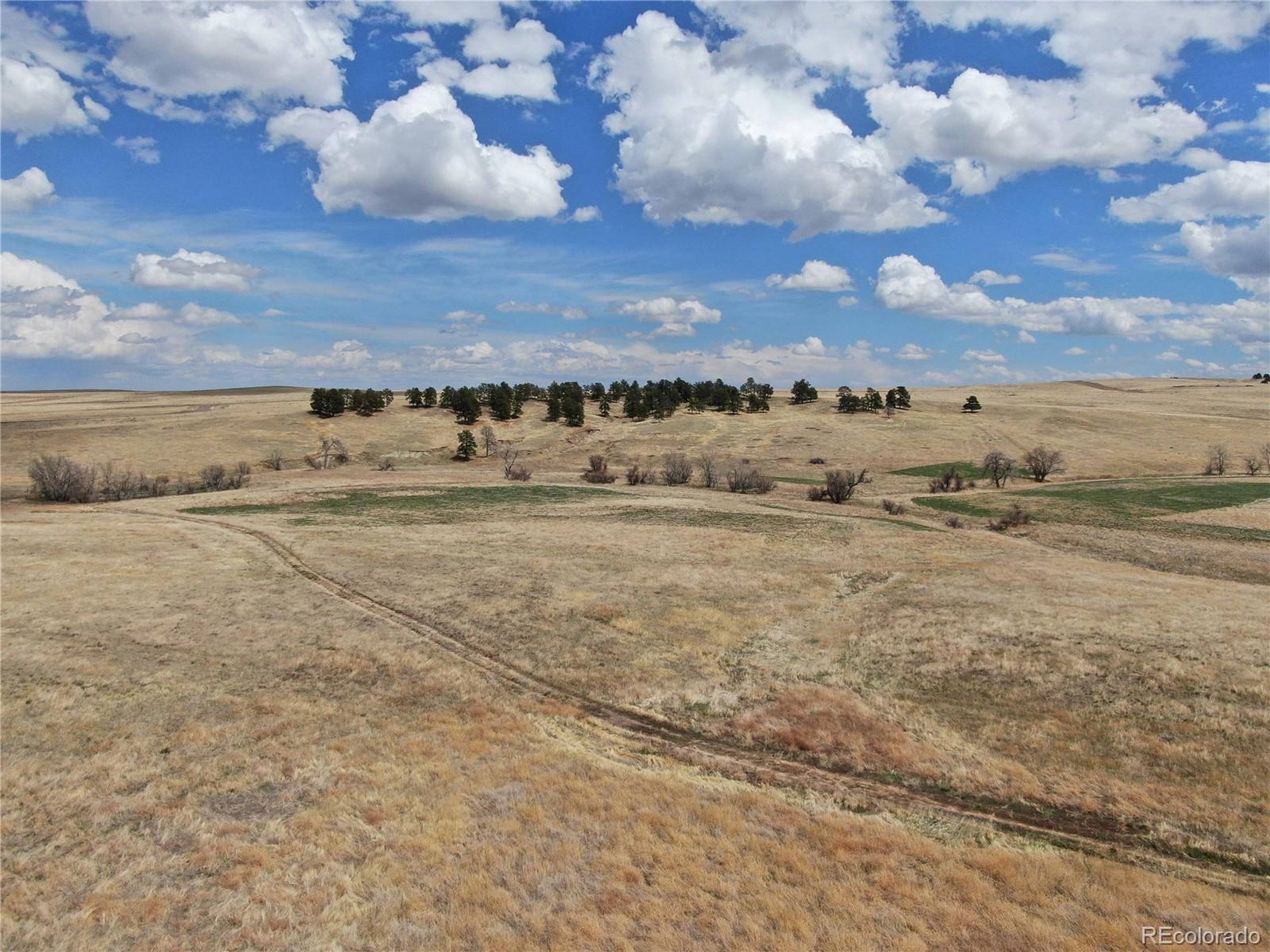 Kiowa, CO 80117,0 LOT 48 Wendling Trl