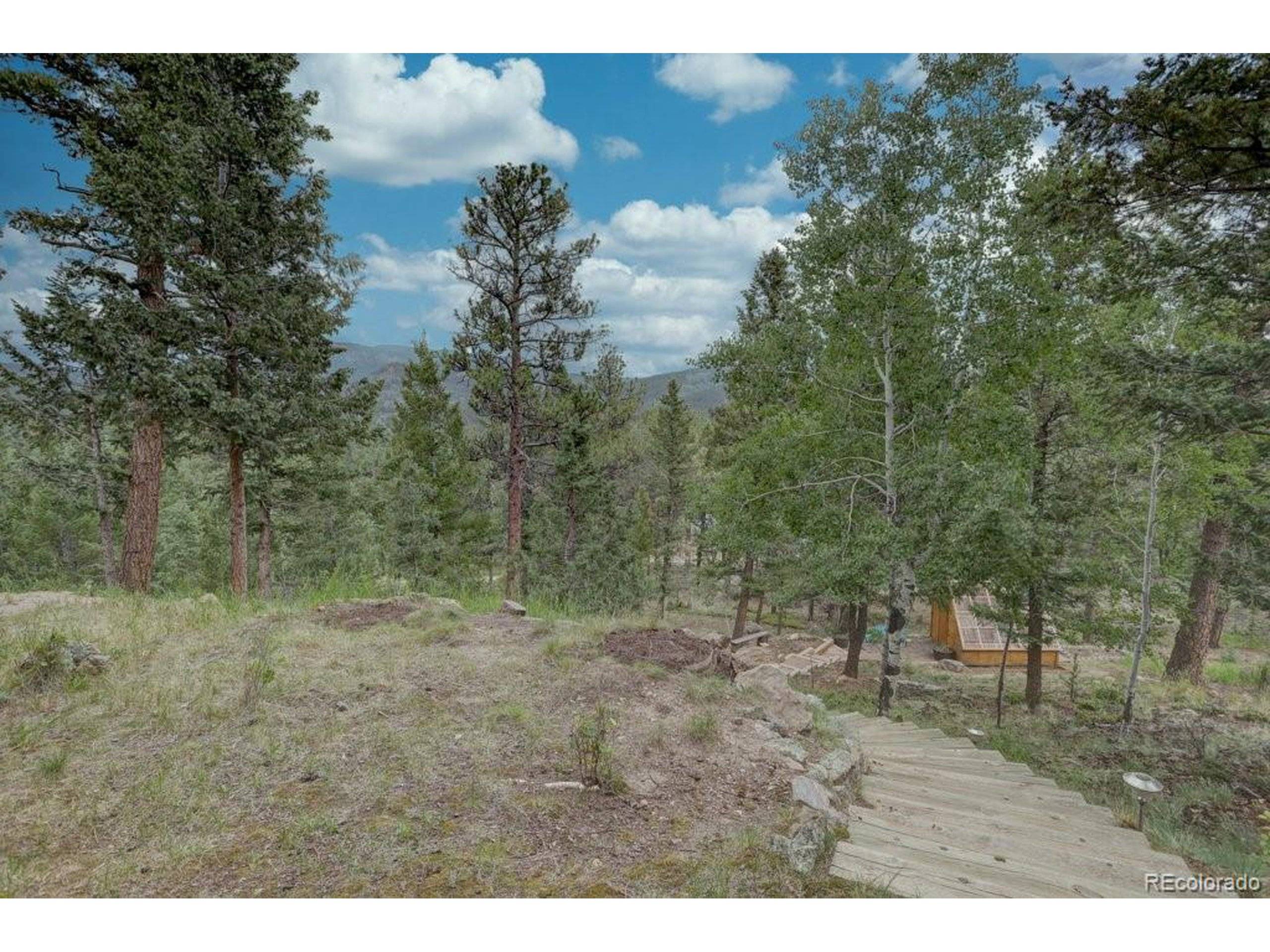 Bailey, CO 80421,220 Long Ridge Dr