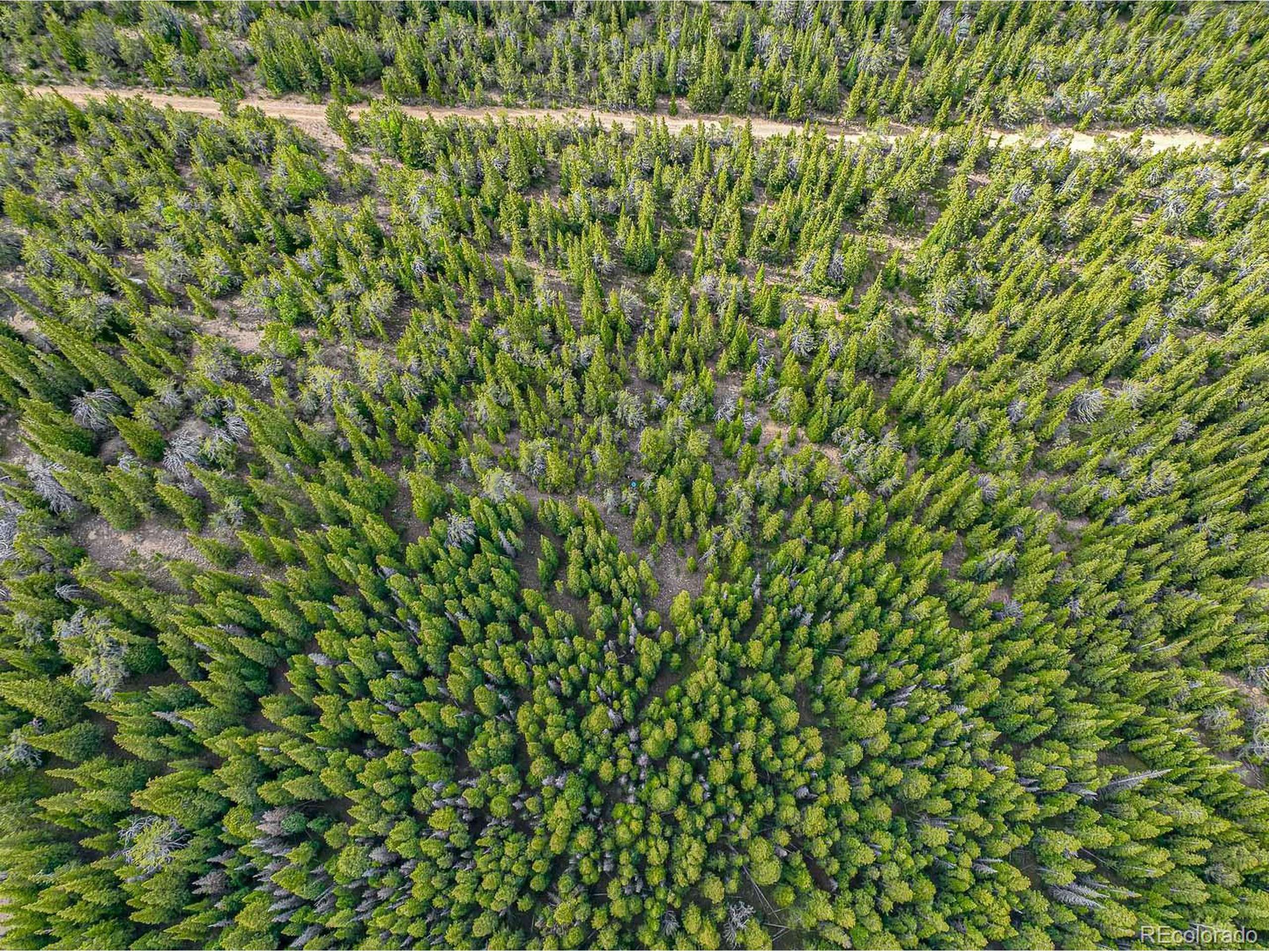 Black Hawk, CO 80422,123 Mosquito Creek Rd