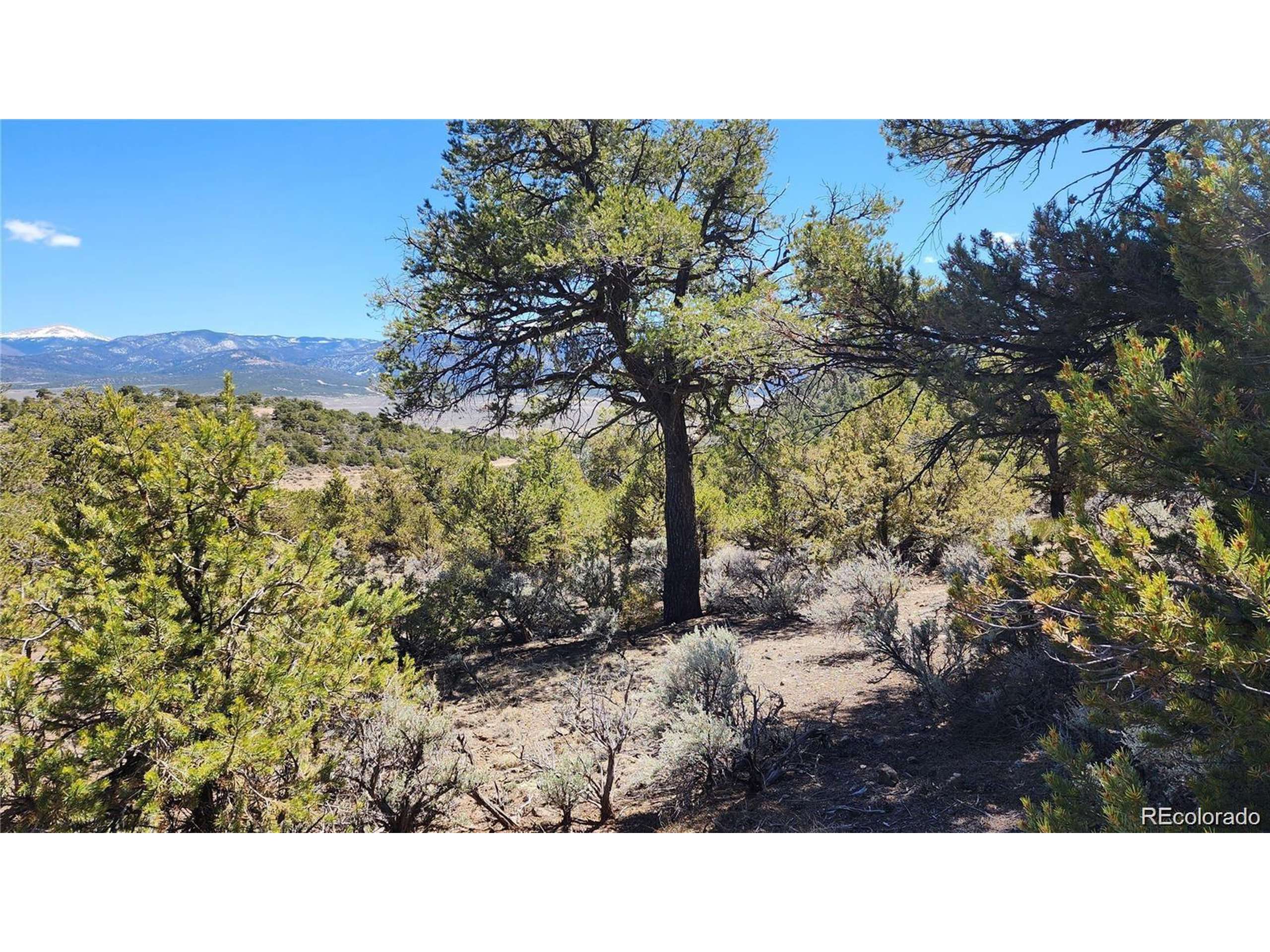 San Luis, CO 81152,54 Lillehammer Dr