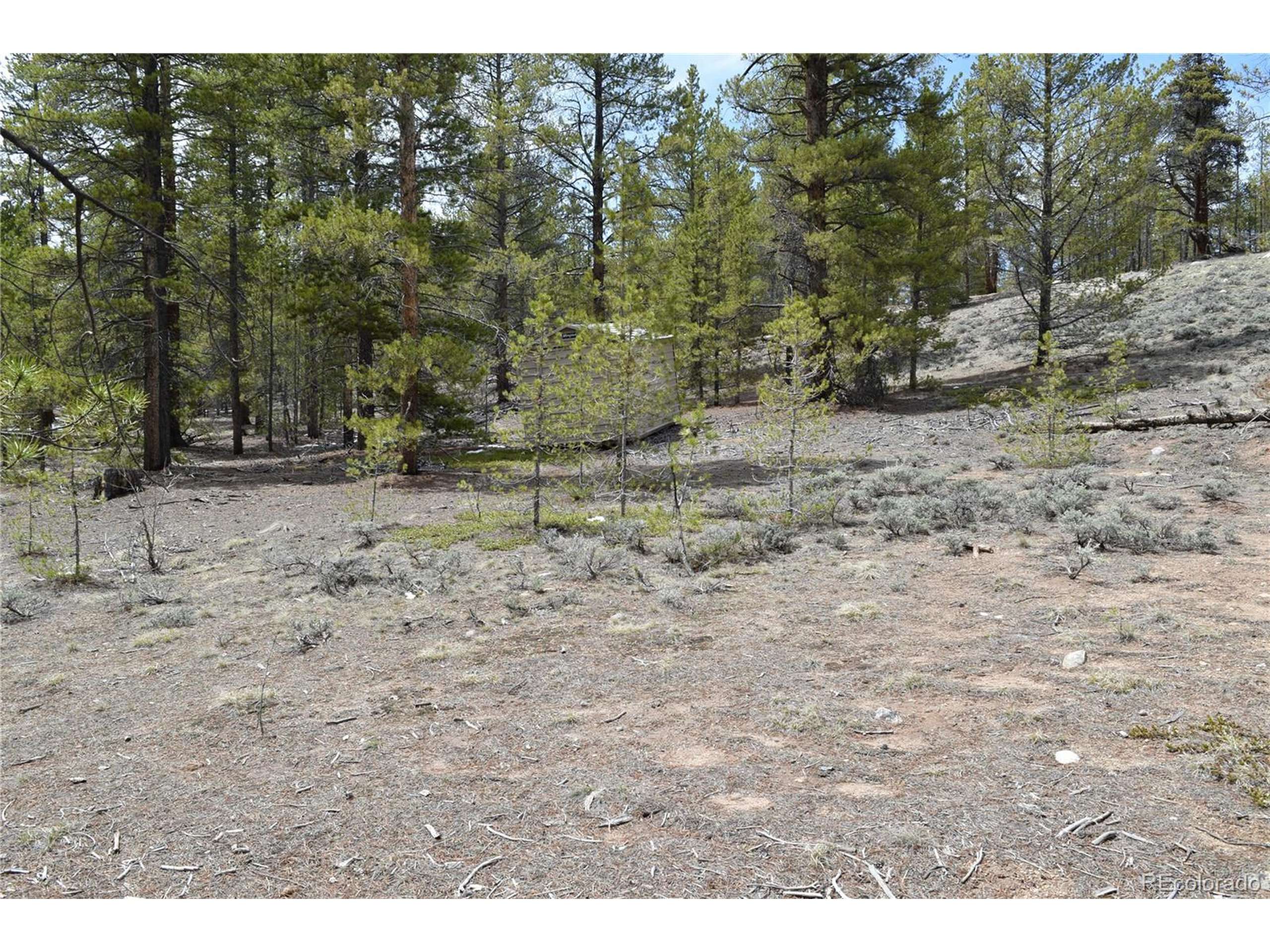 Leadville, CO 80461,179 Birch Dr