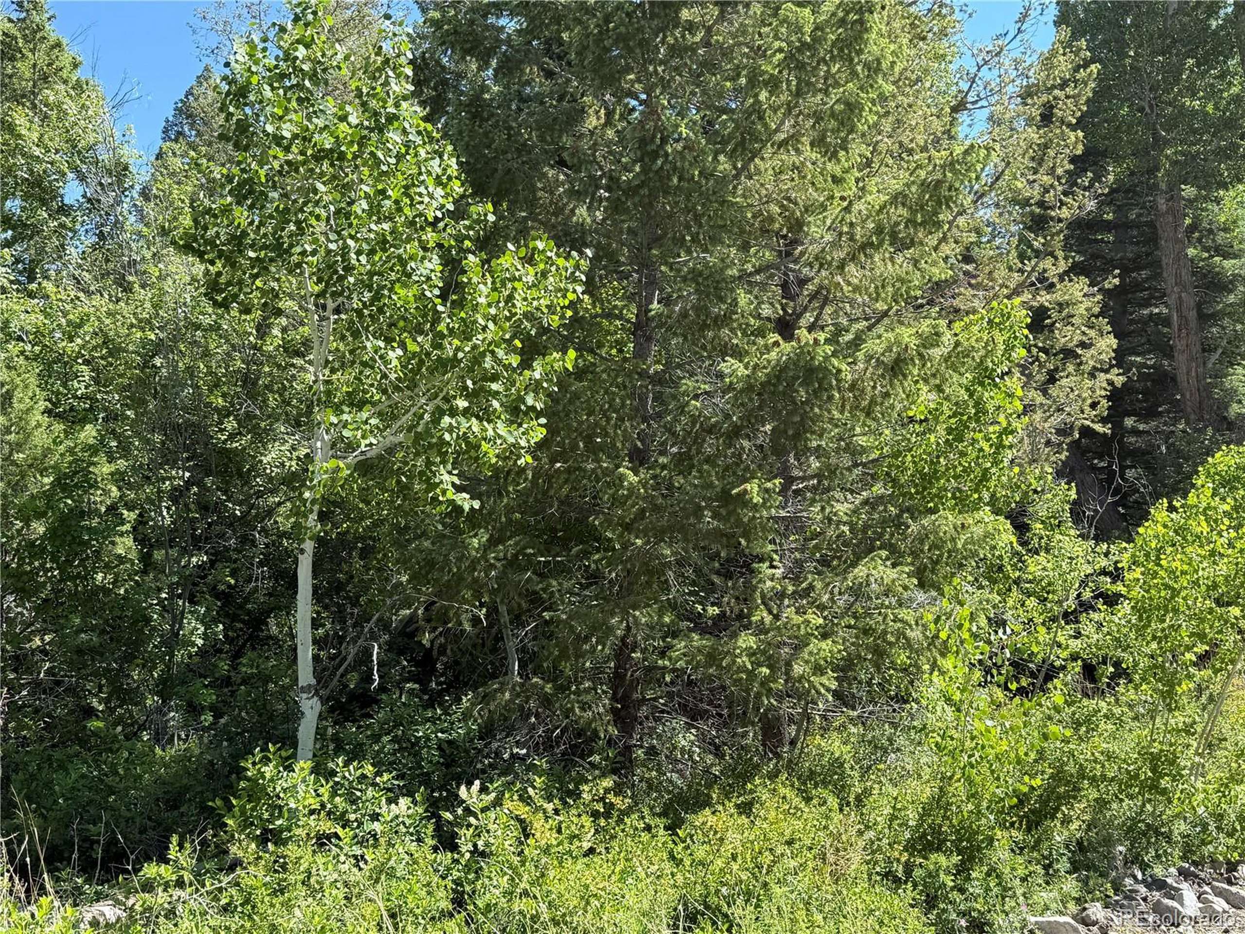 Alamosa, CO 81101,243 Mill Run