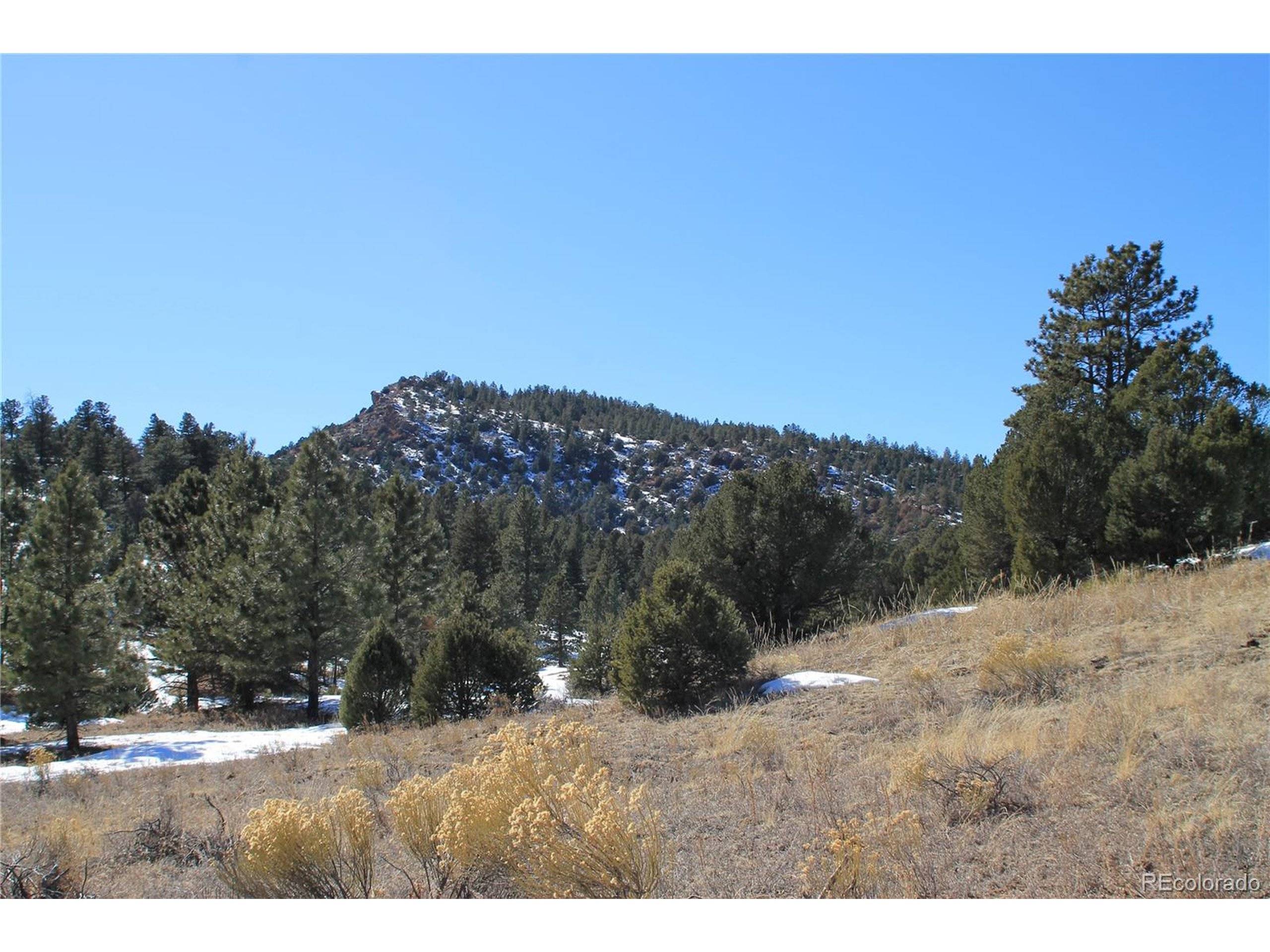 Cotopaxi, CO 81233,209 Big Bow Dr
