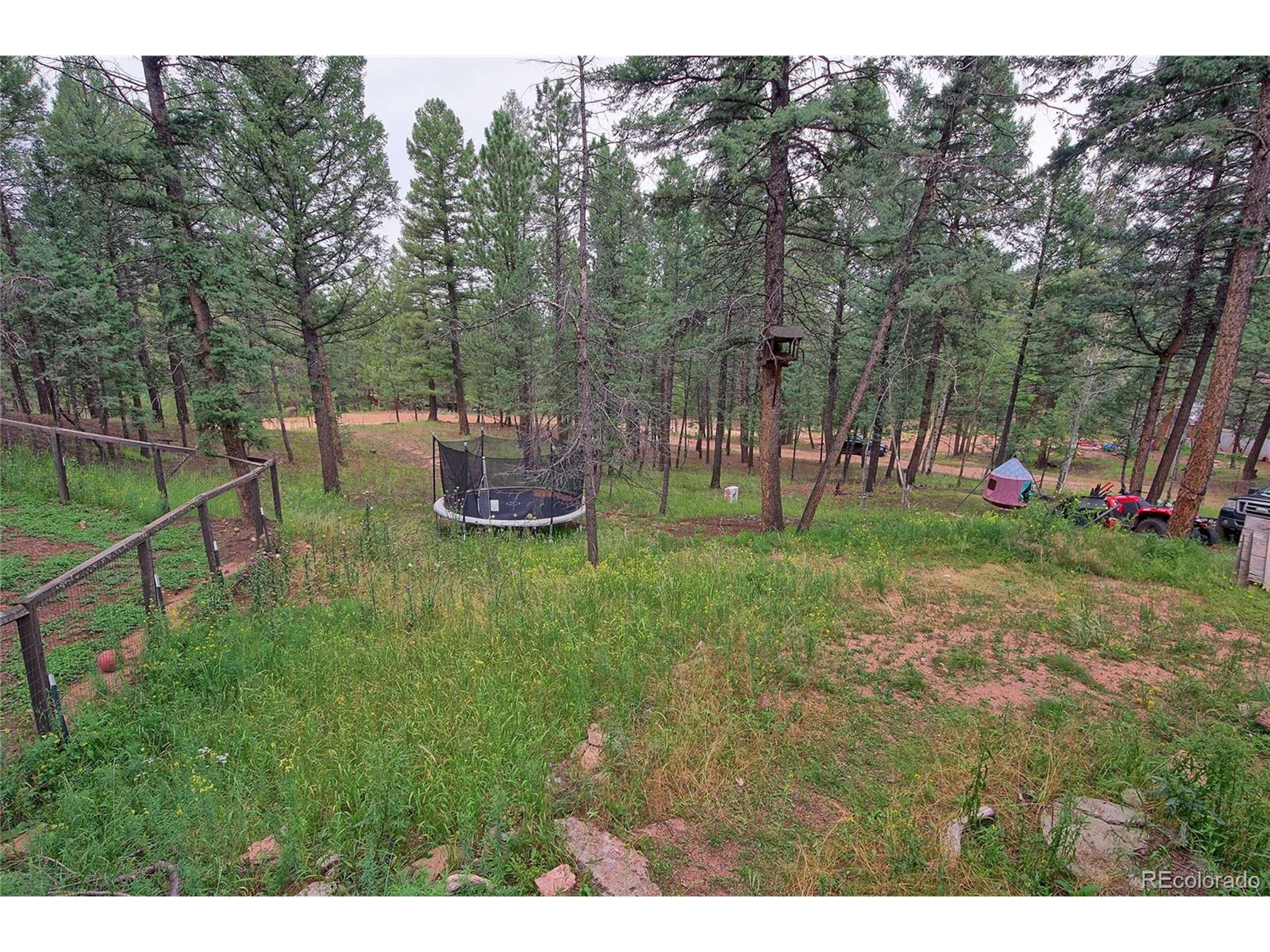 Woodland Park, CO 80863,194 Spruce Ln