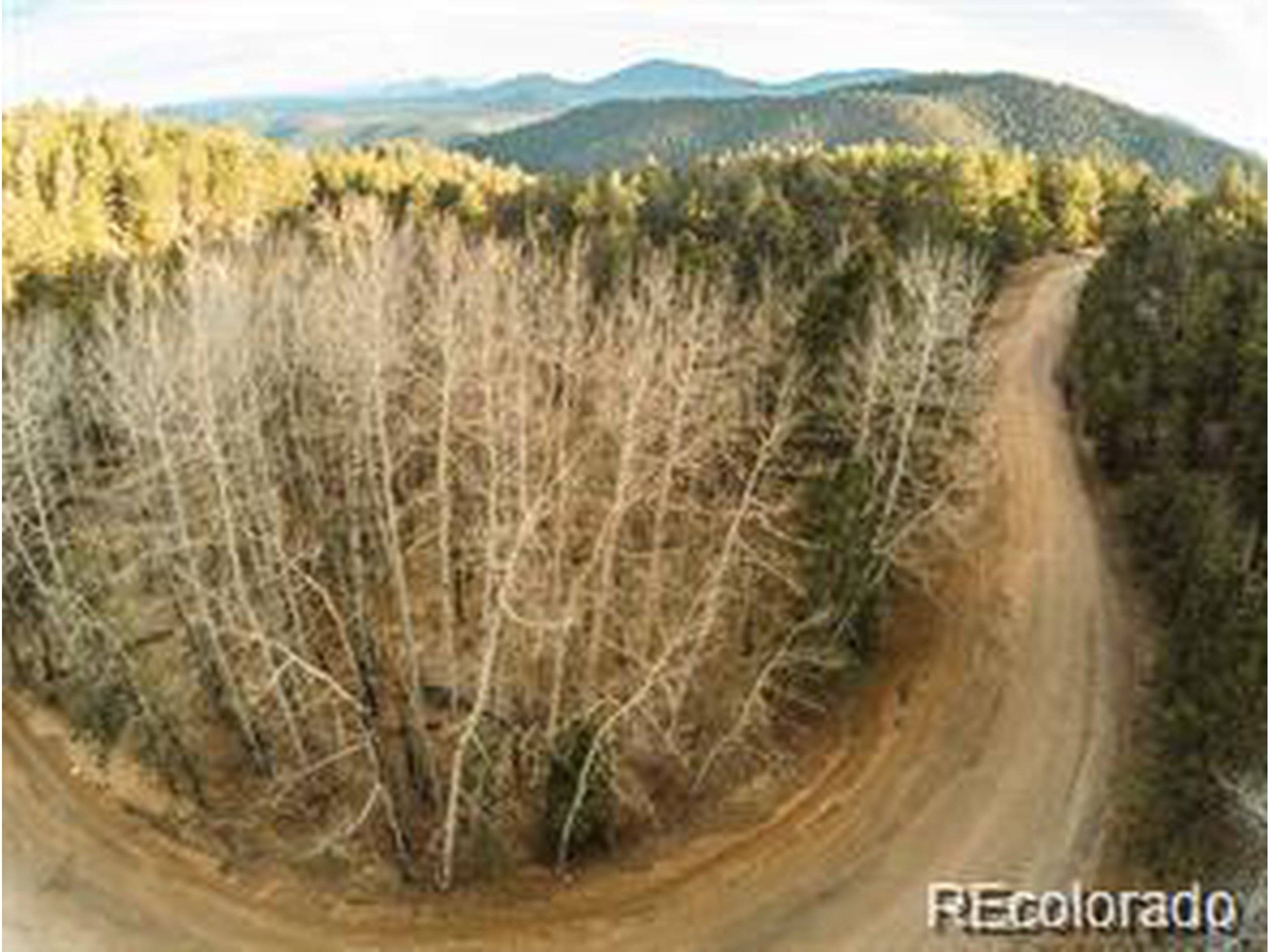 Conifer, CO 80433,13305 S Resort Dr