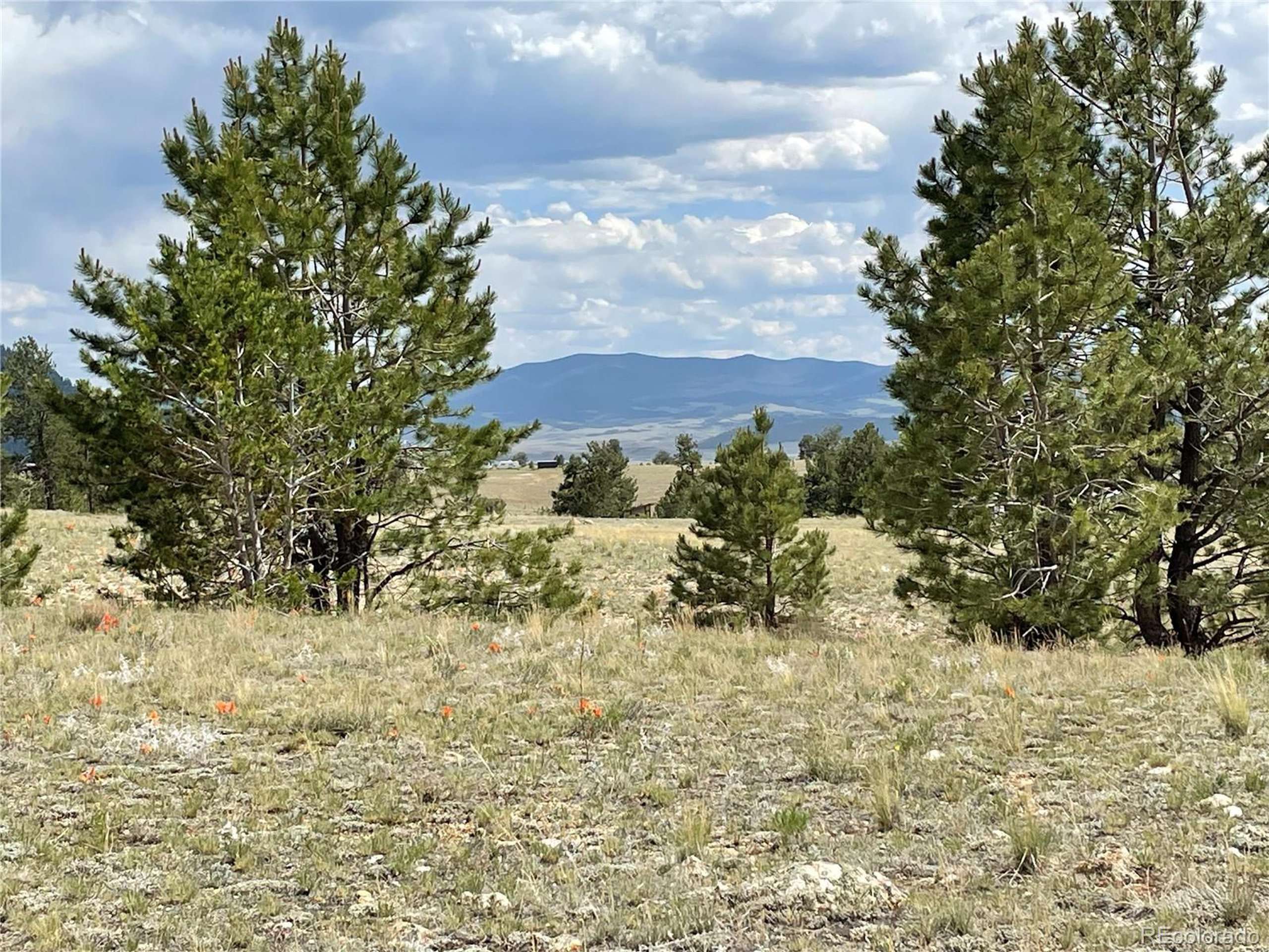 Hartsel, CO 80449,11809 Clear Creek Rd