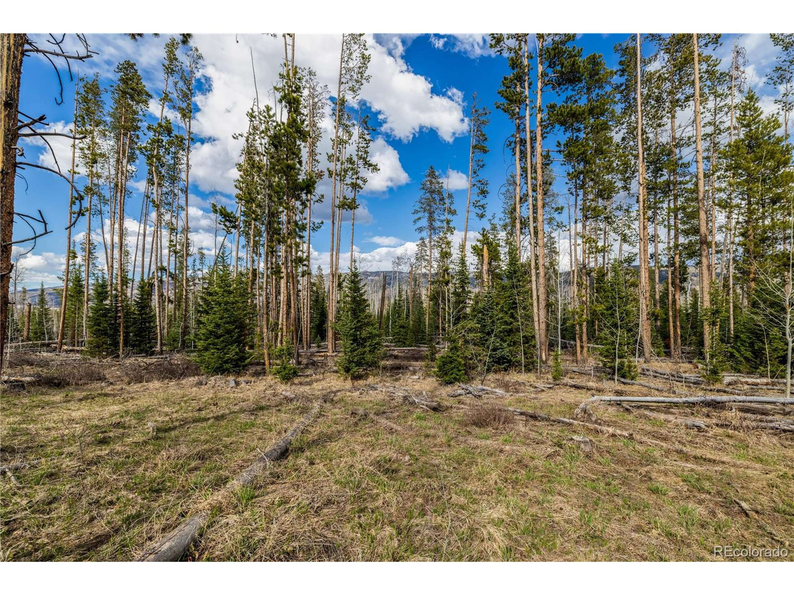 Oak Creek, CO 80467,98 South Station II