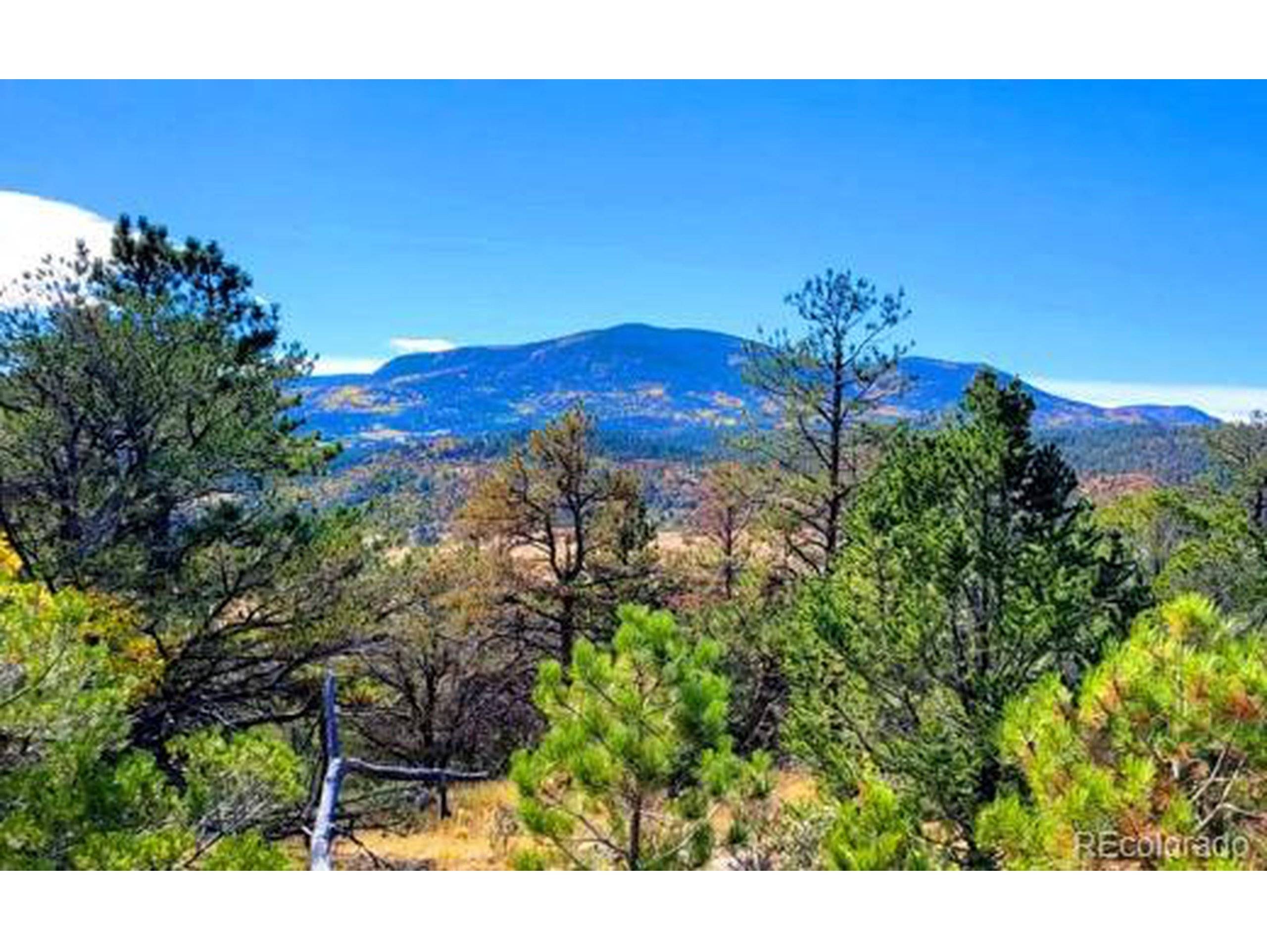 Canon City, CO 81212,308 Sourwood Ln