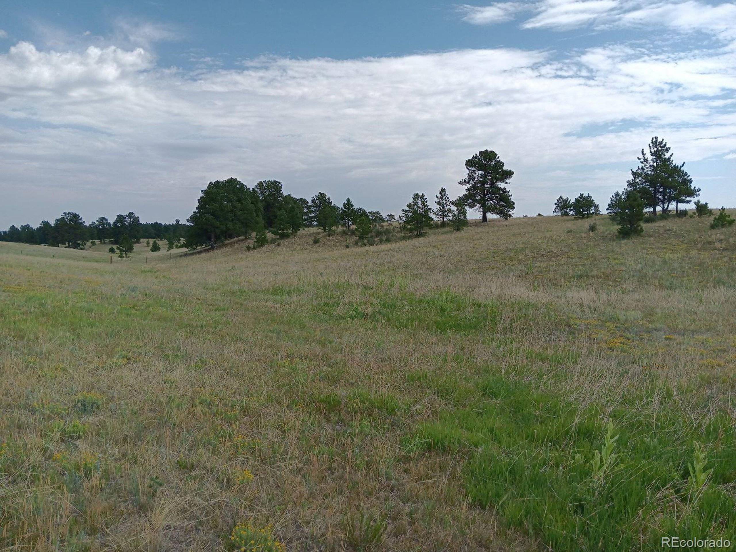 Elbert, CO 80106,5335 County Road 82