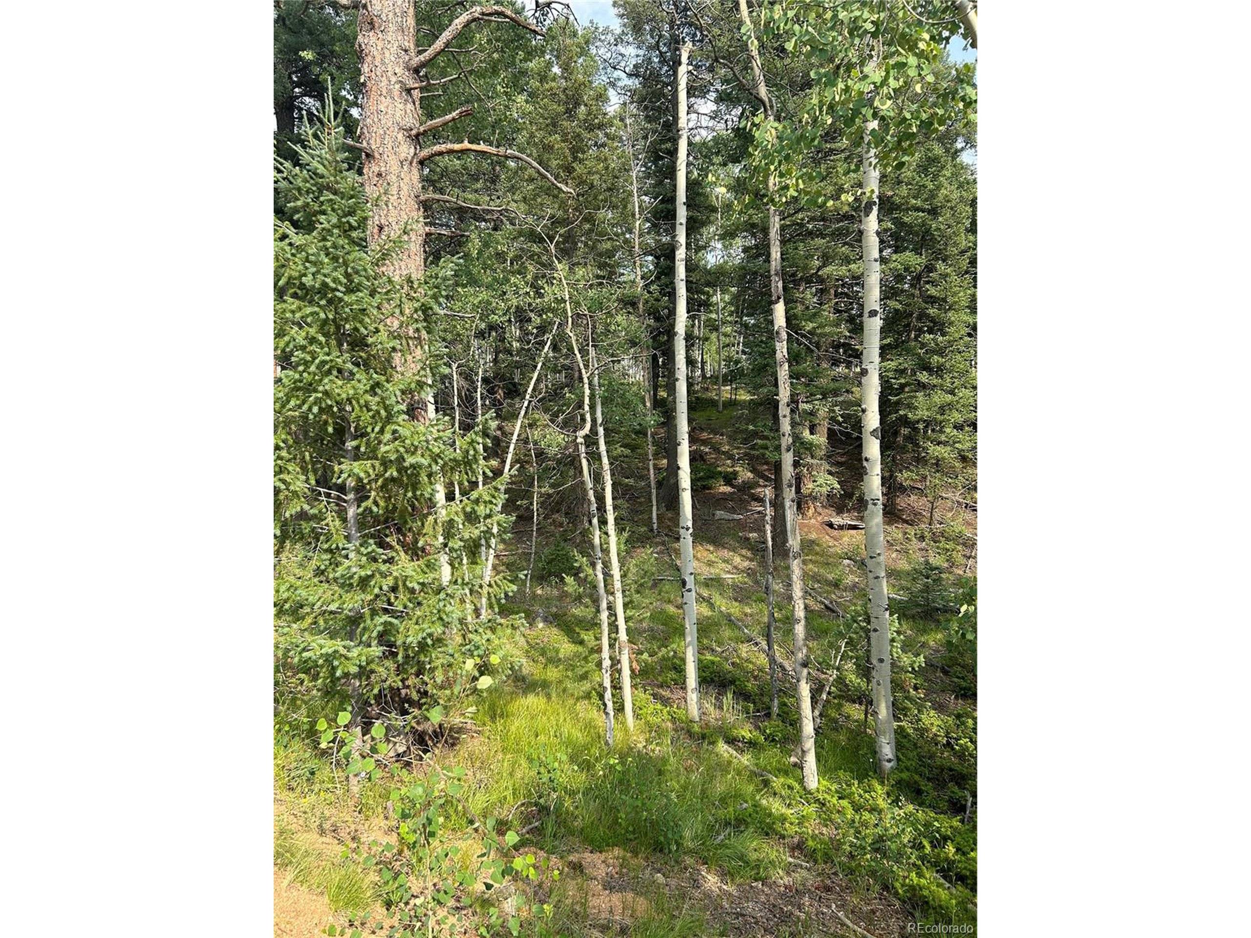 Florissant, CO 80816,127 Rampart Cir