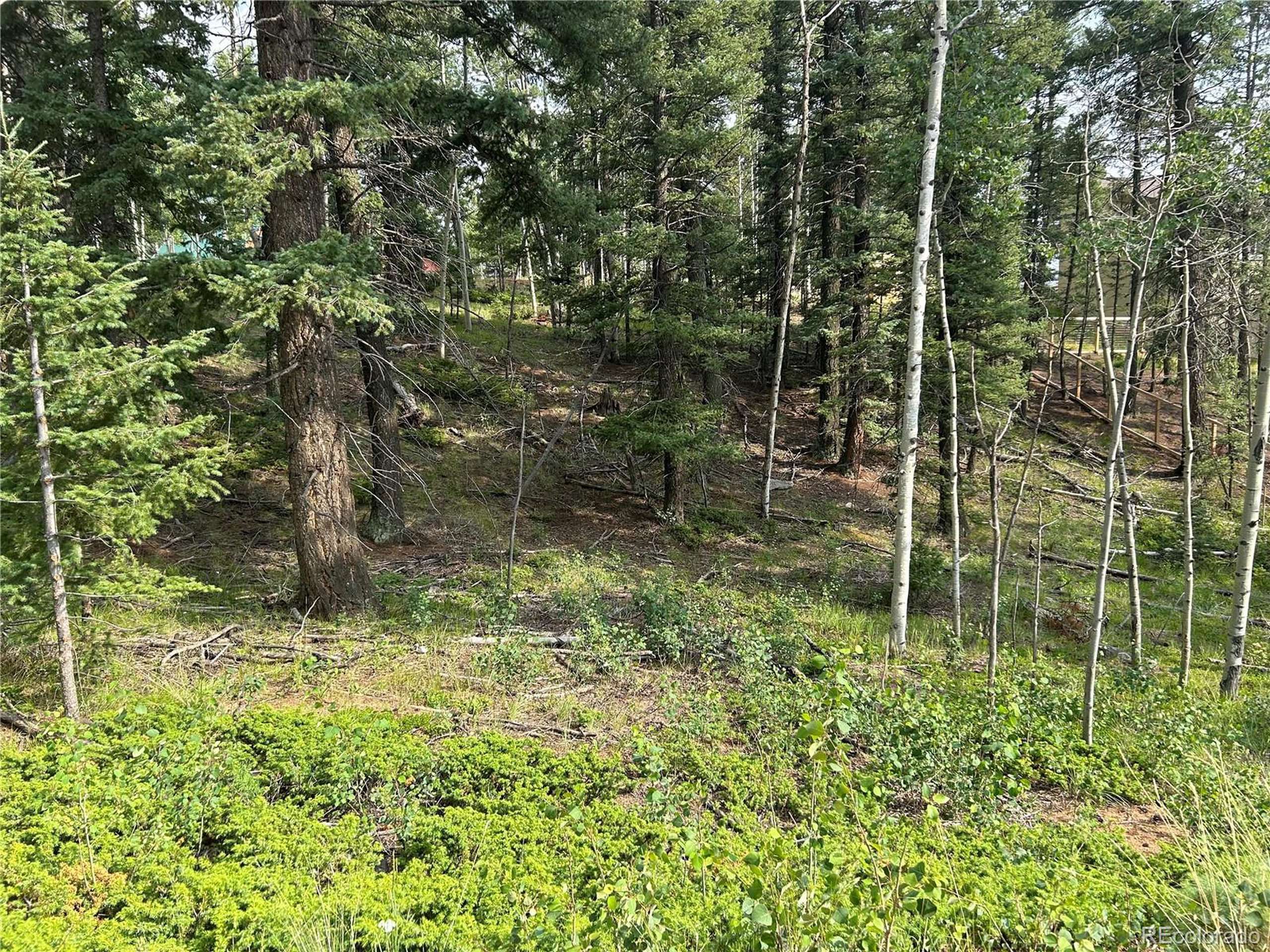 Florissant, CO 80816,127 Rampart Cir