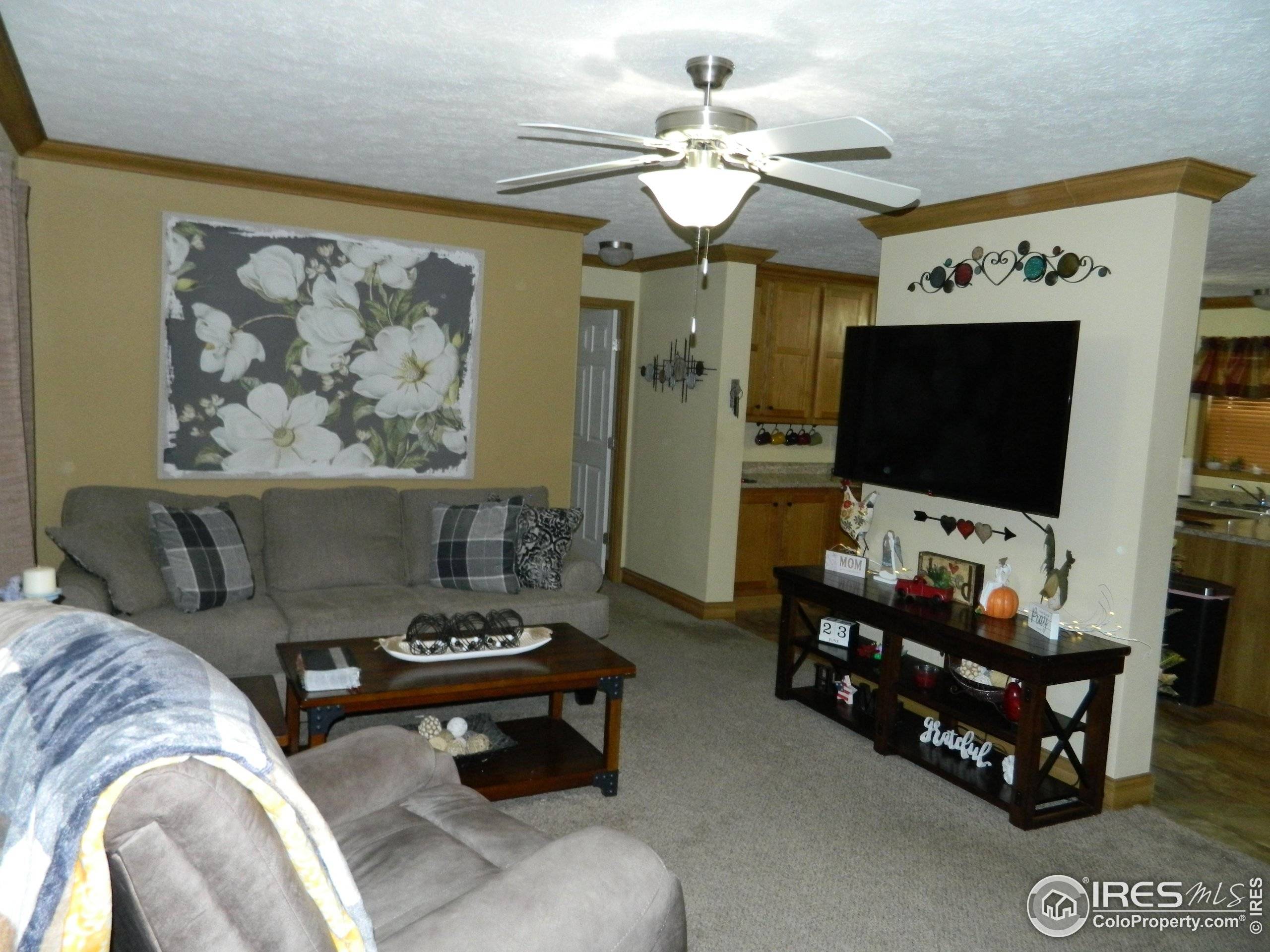 Evans, CO 80620,4225 Buffalo Trl #396