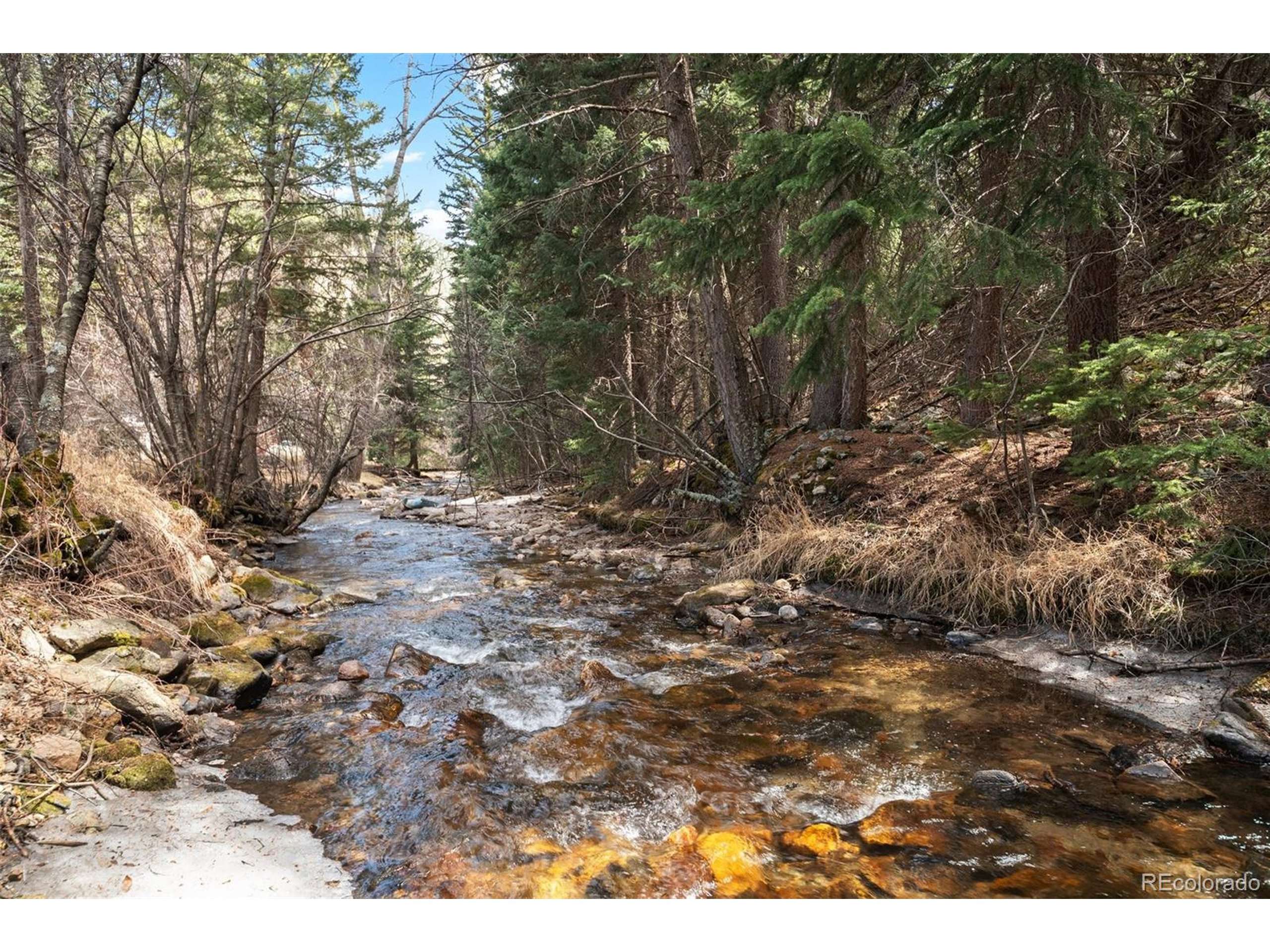 Idaho Springs, CO 80452,993 Fall River Rd