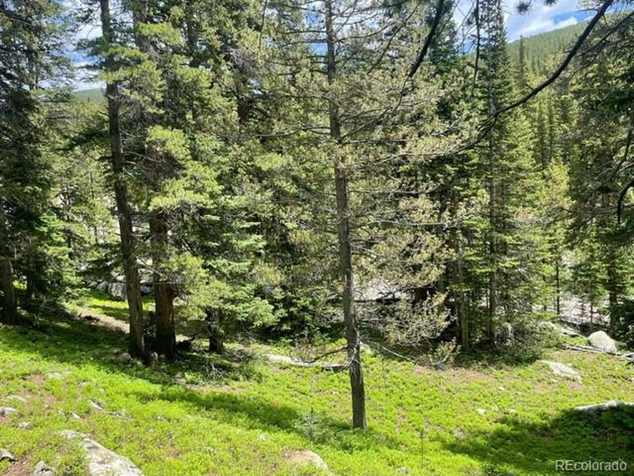 Idaho Springs, CO 80452,0 Lake Rd