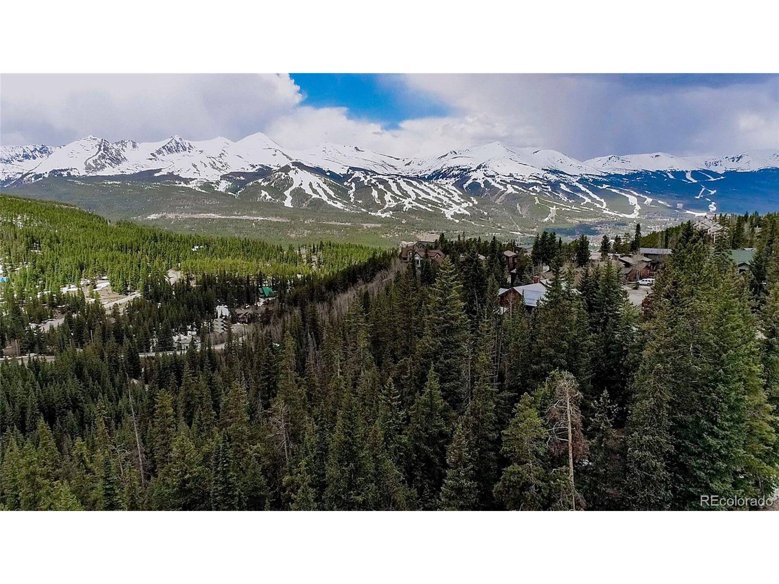 Breckenridge, CO 80424,247 S Fuller Placer Rd