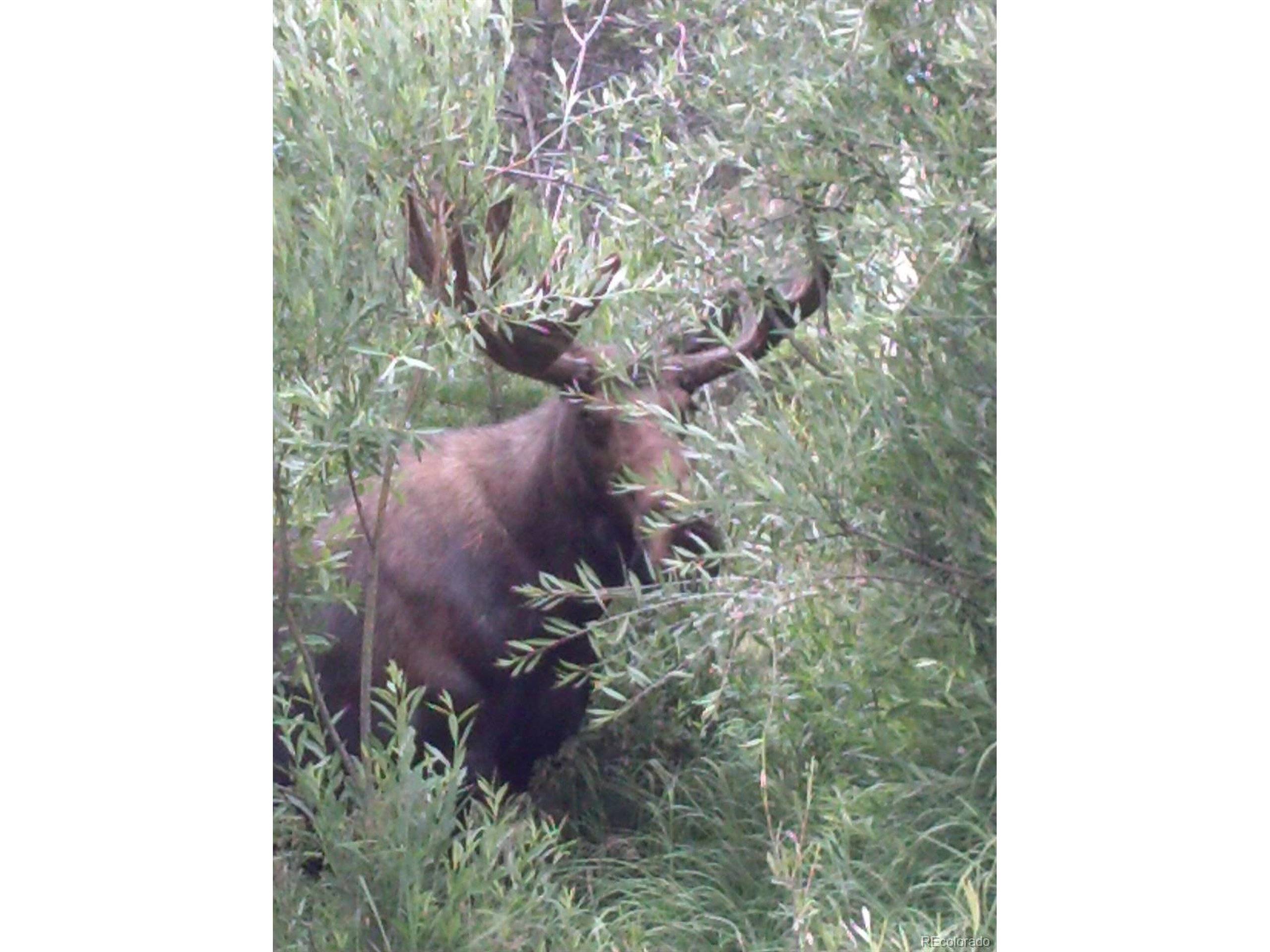 Grand Lake, CO 80447,Address not disclosed