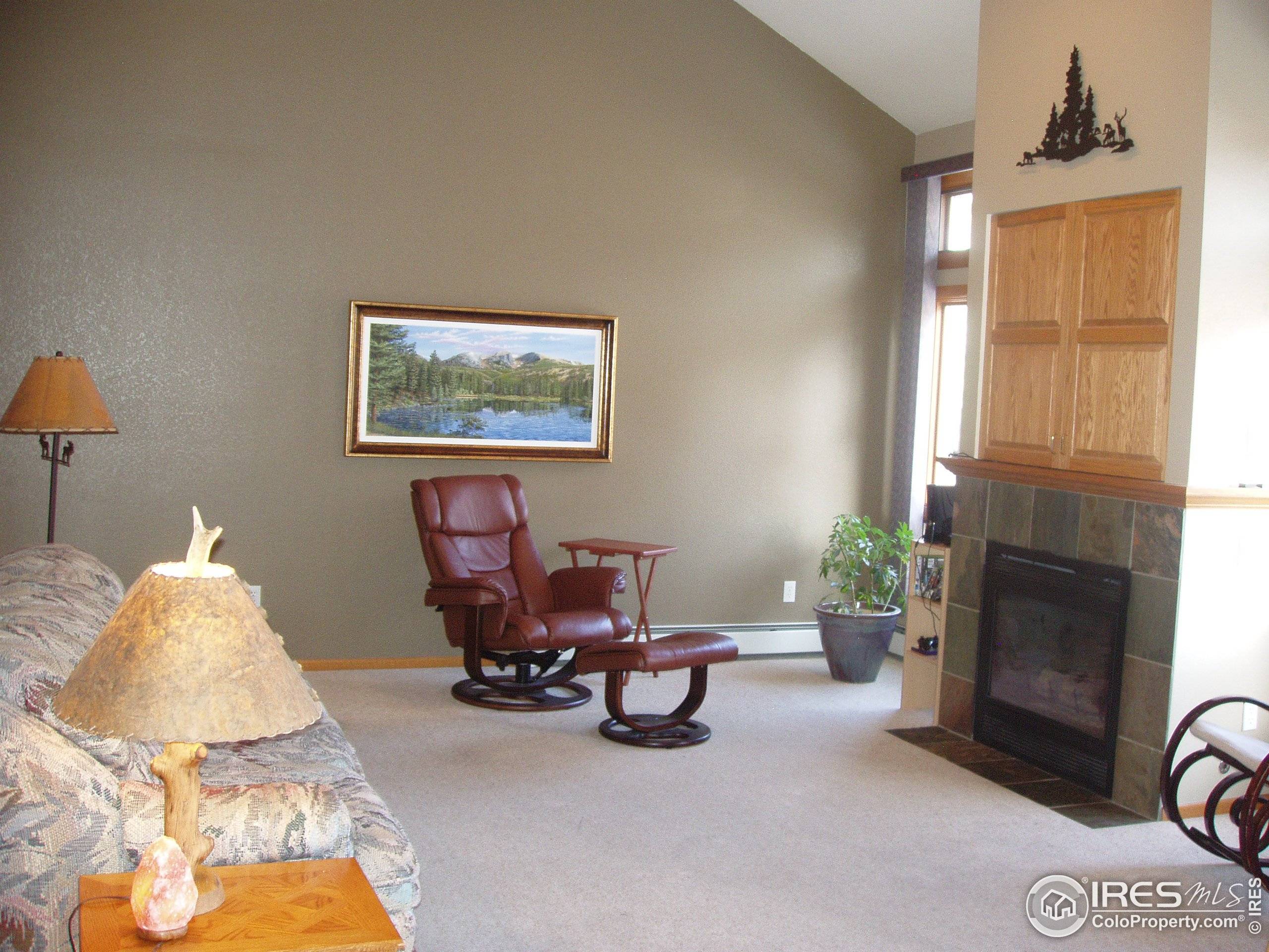 Estes Park, CO 80517,300 Far View Dr #2