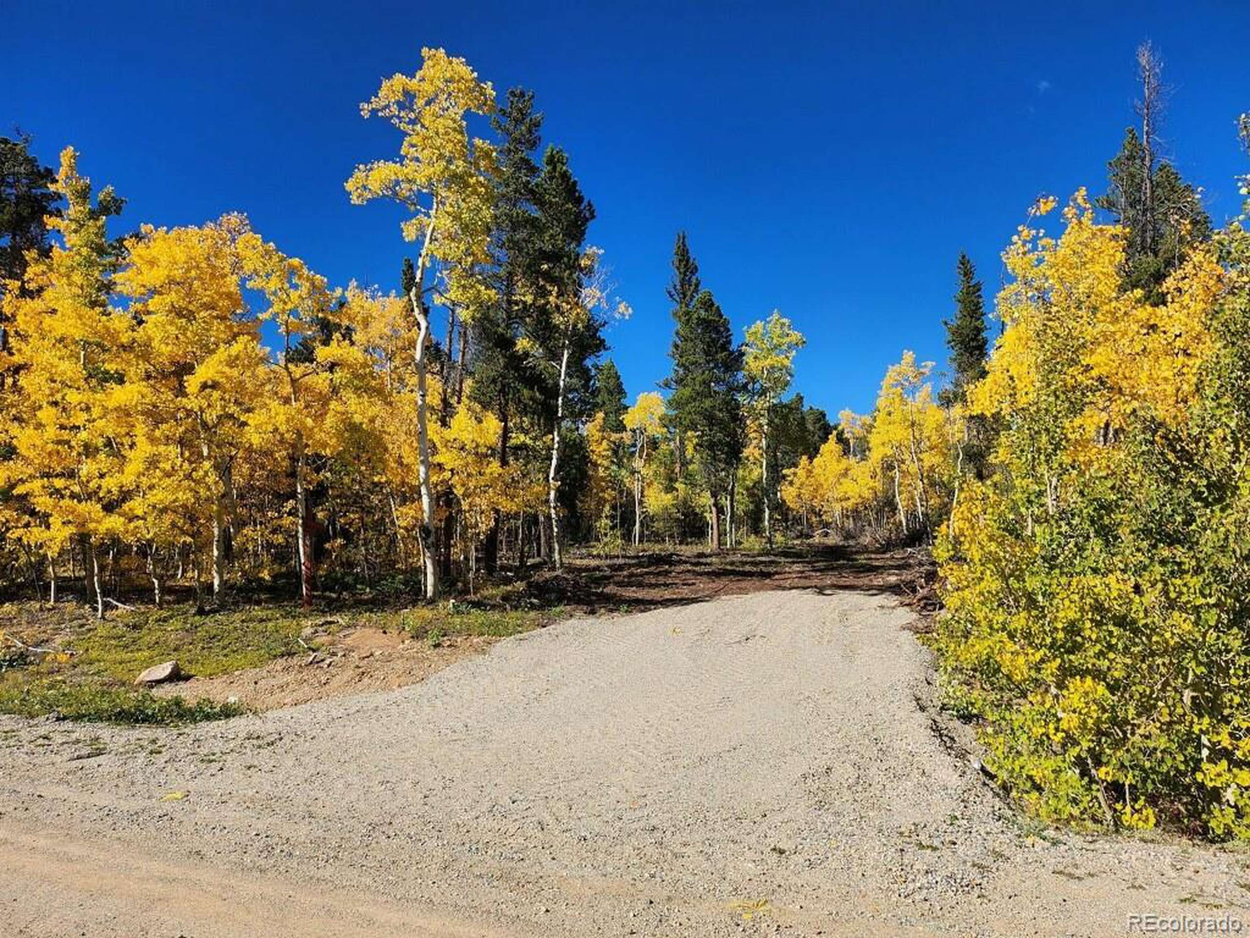 Fairplay, CO 80440,451 Lamb Mountain Rd
