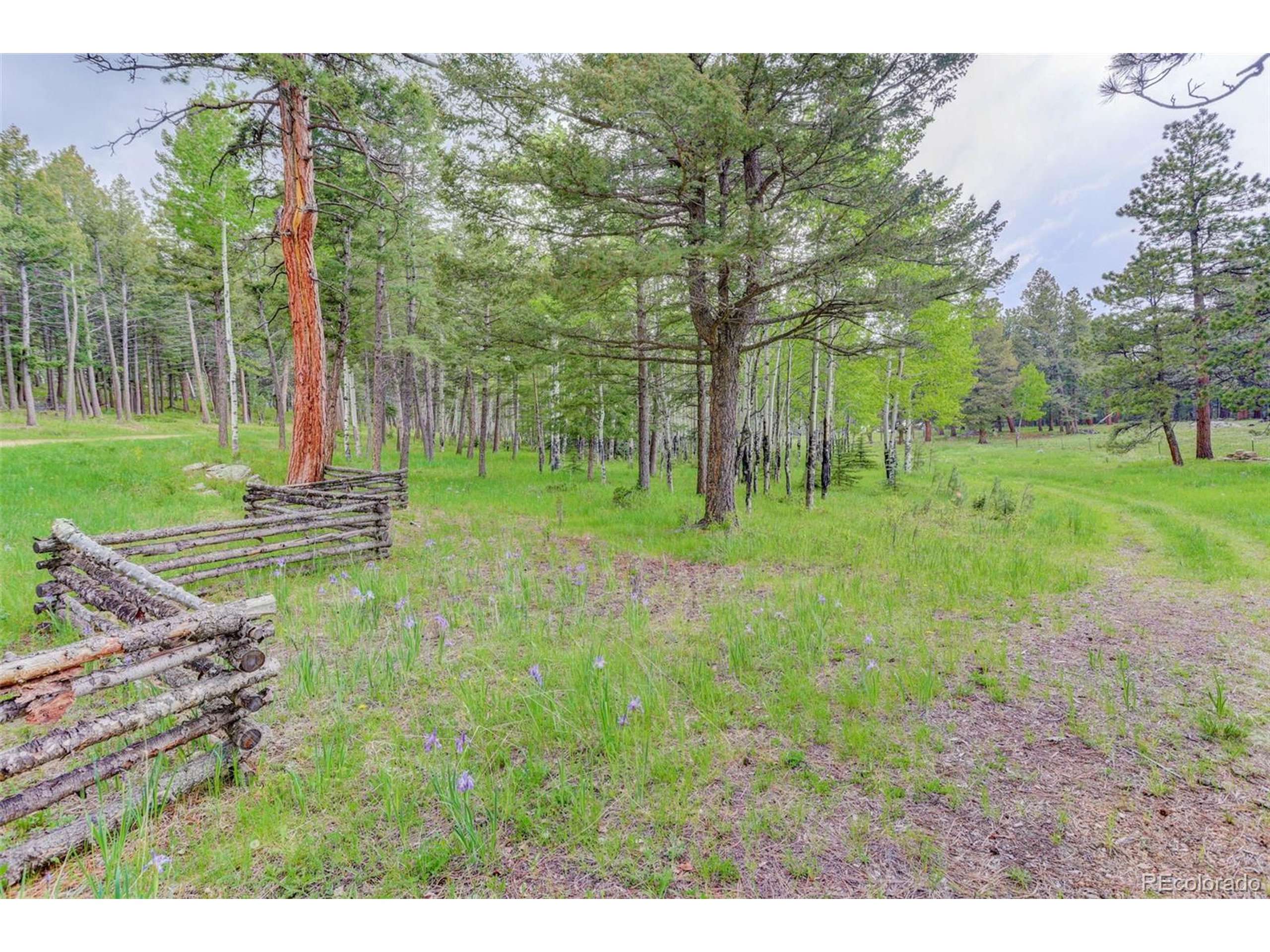 Evergreen, CO 80439,0 S Elk Ridge