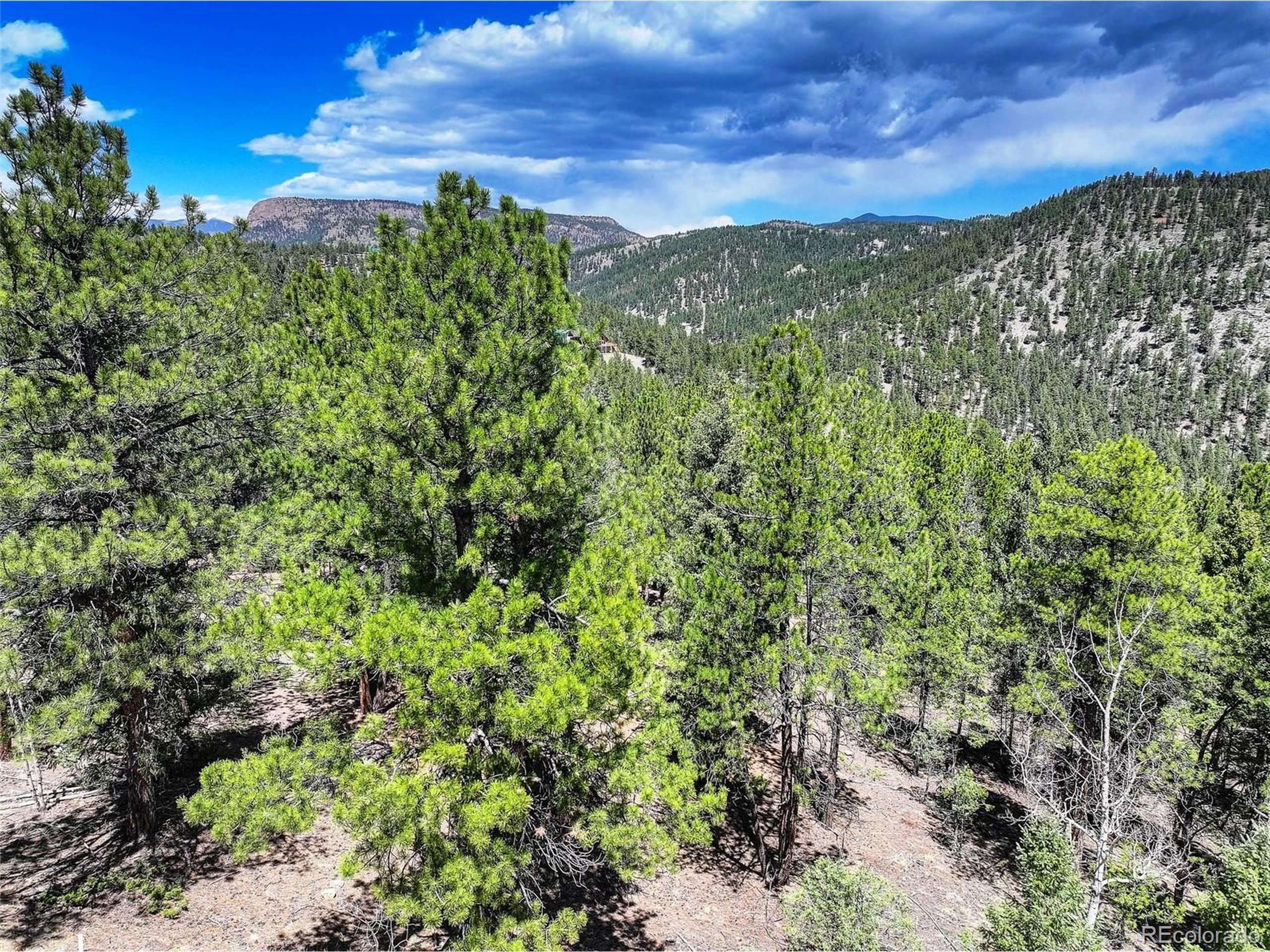 Bailey, CO 80421,456 Lo Meadow Ln