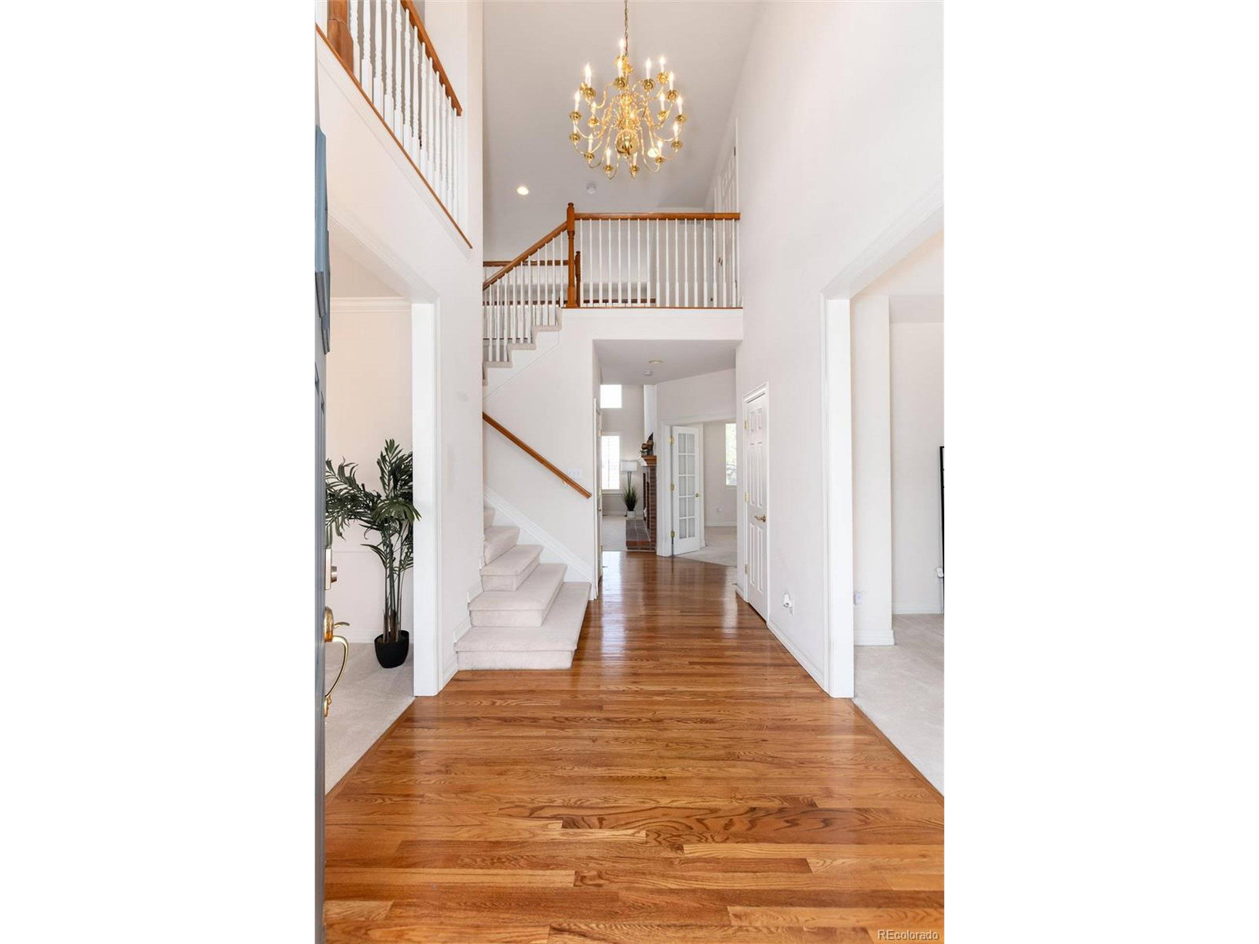 Castle Pines, CO 80108,7872 Stonedale Dr
