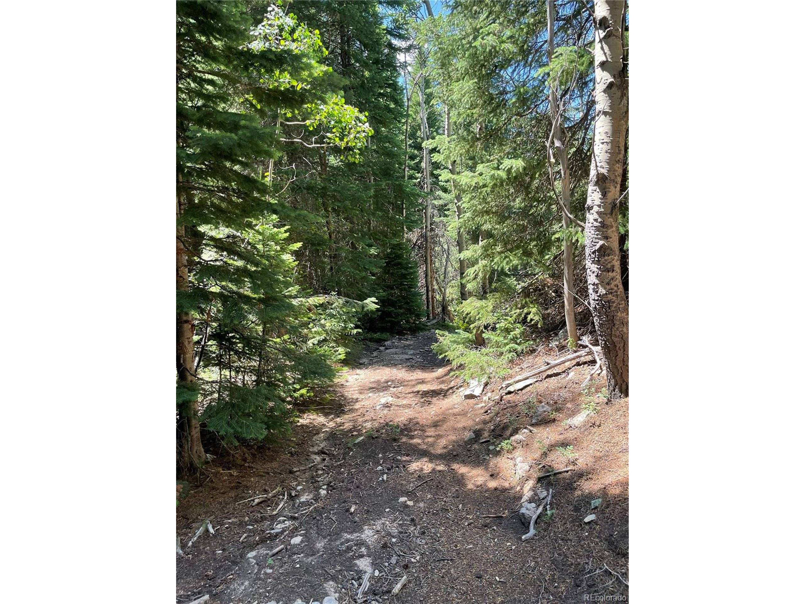 Black Hawk, CO 80422,850 Lupine Pl