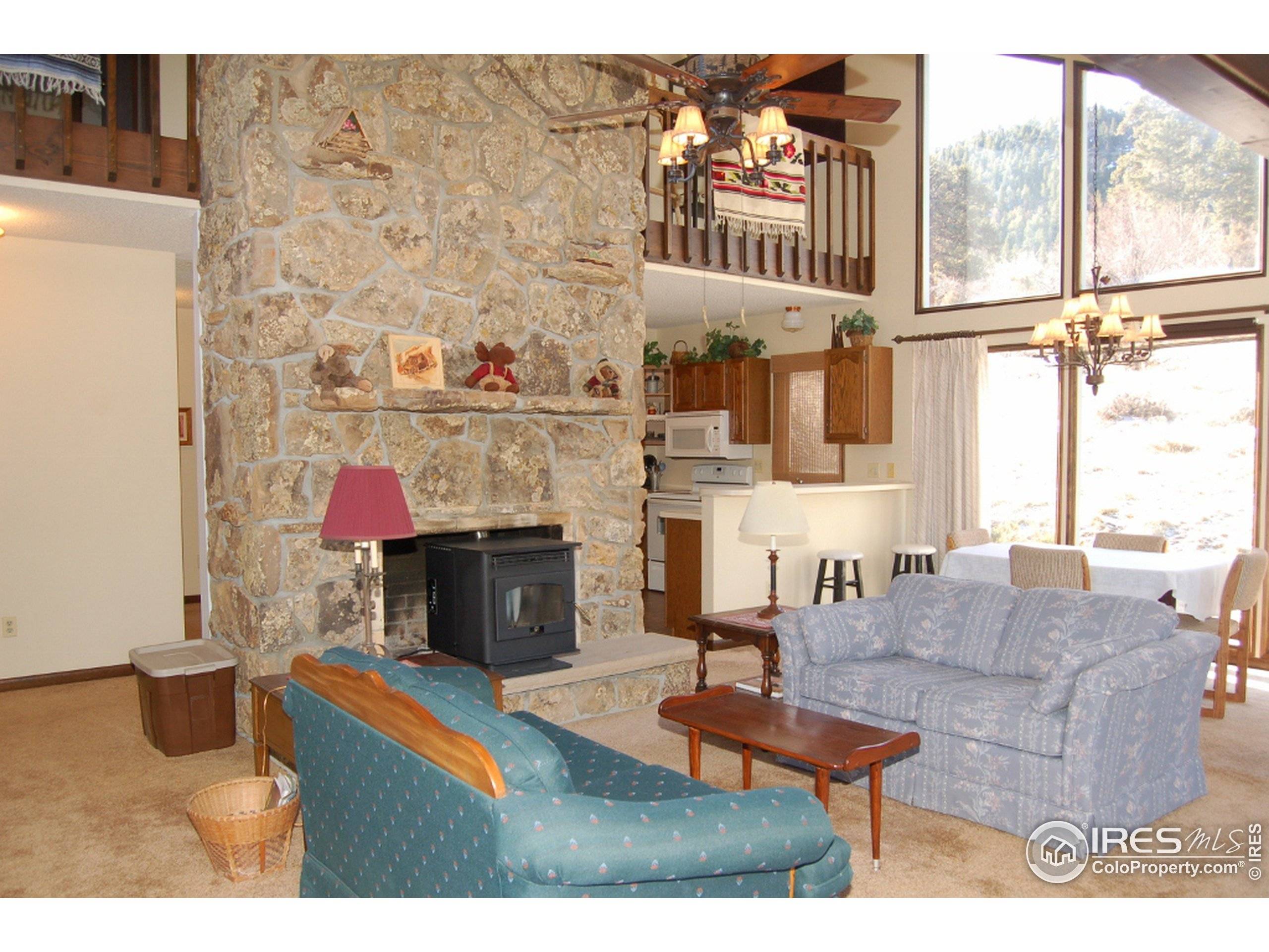 Estes Park, CO 80517,1357 Riverside Ln