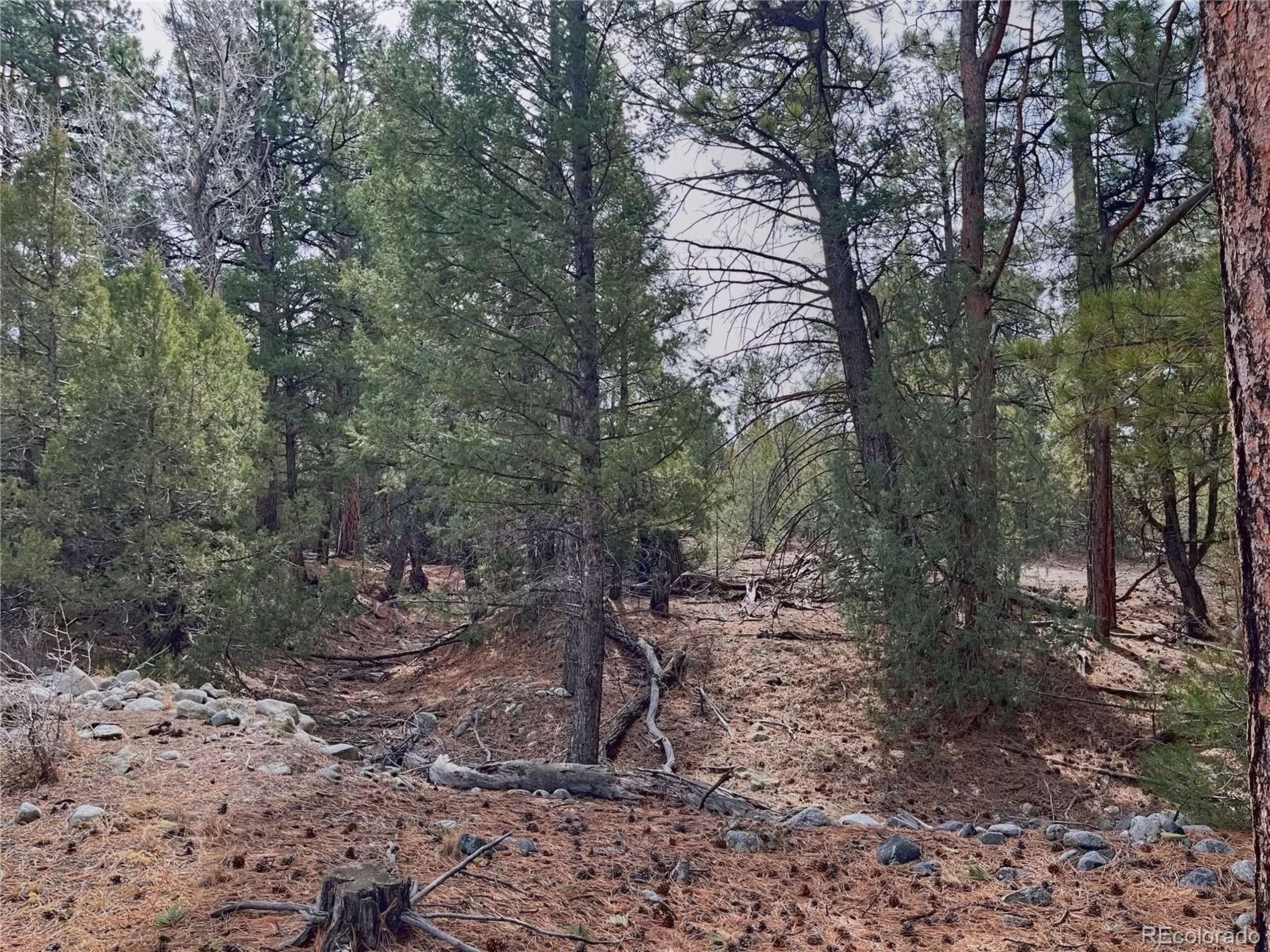 Mosca, CO 81146,54 Big Bear Rd