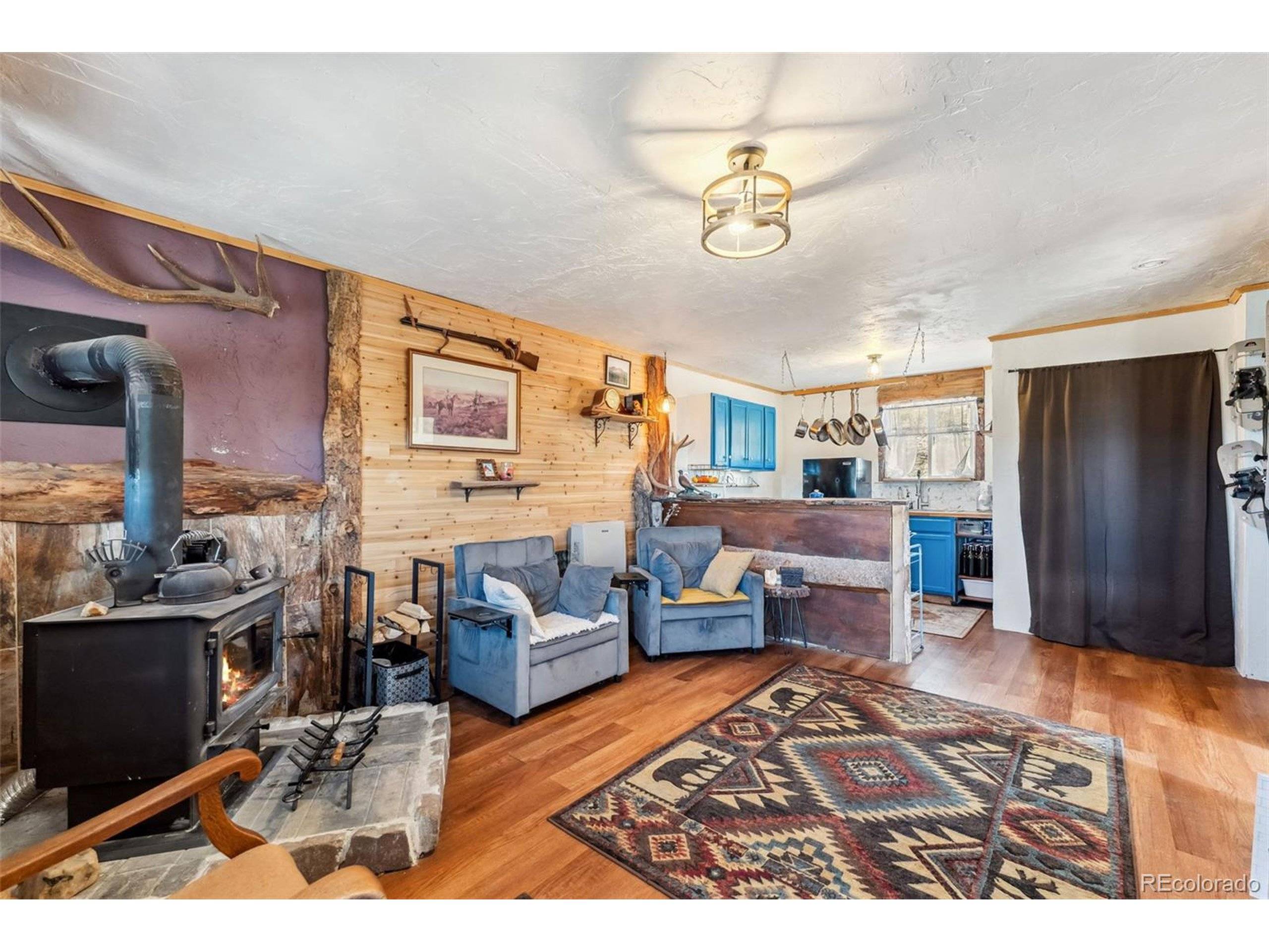 Como, CO 80432,50 Puma Ct
