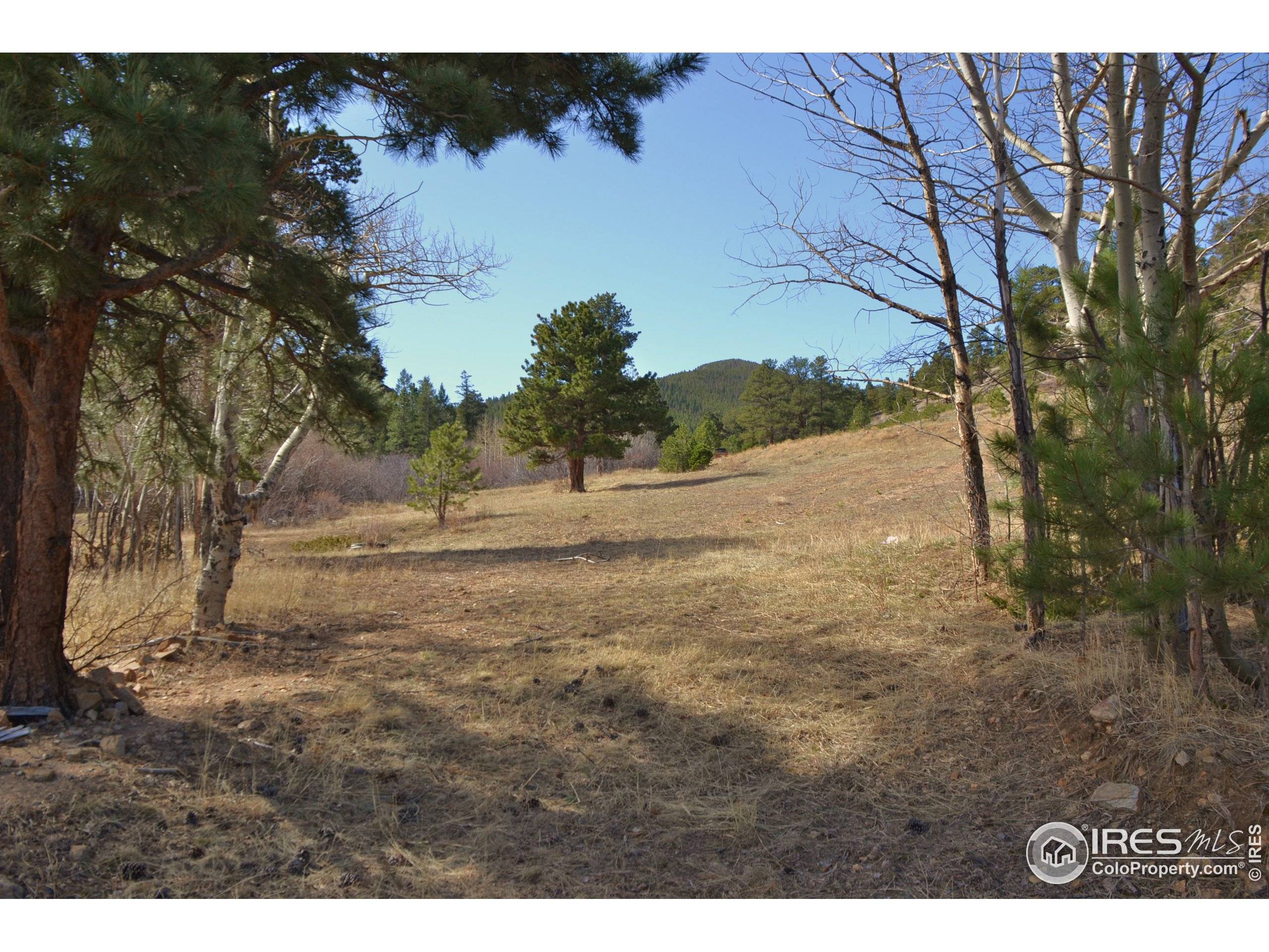 Estes Park, CO 80517,Kiowa Trl