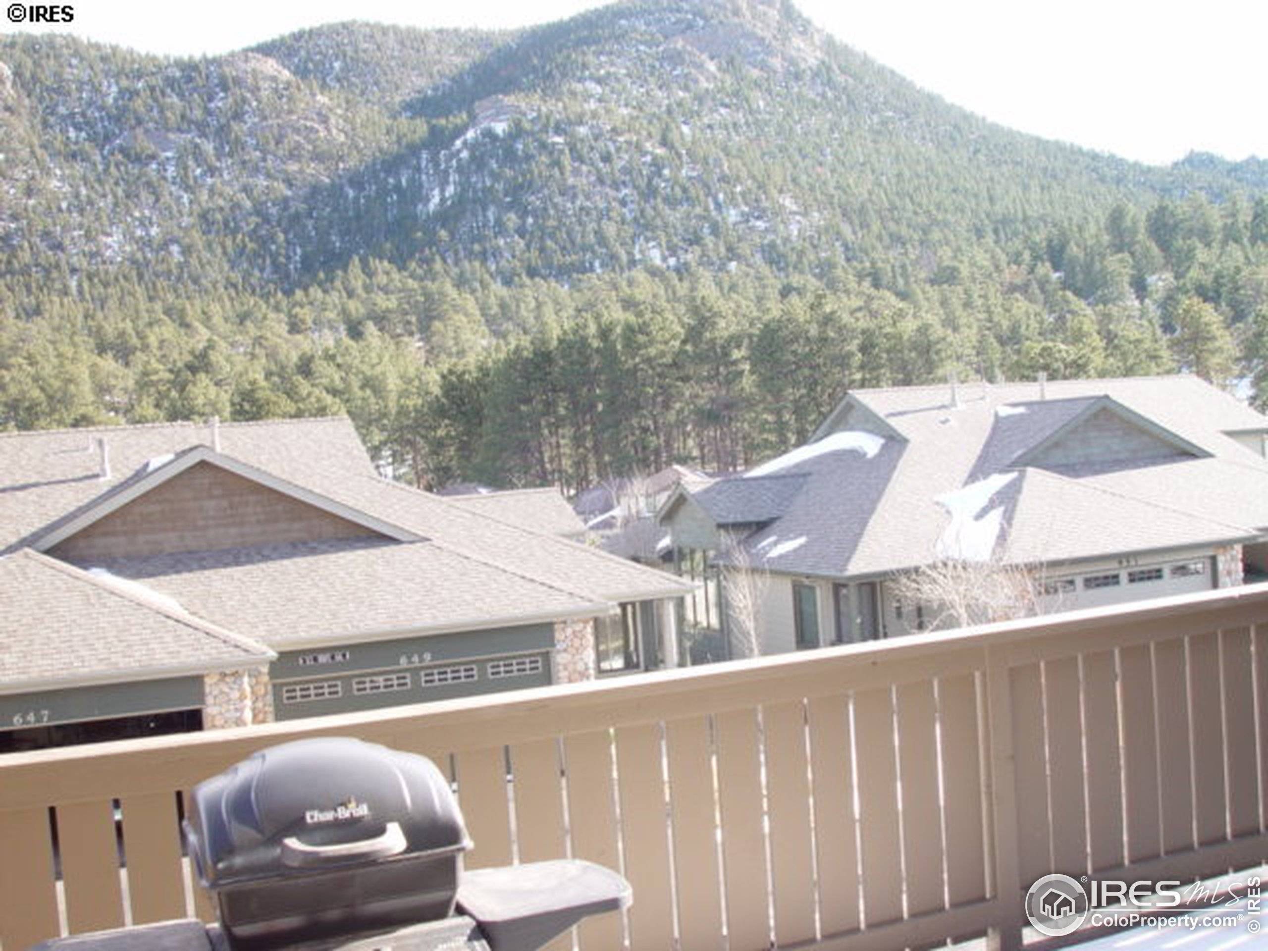 Estes Park, CO 80517,643 Park River Pl