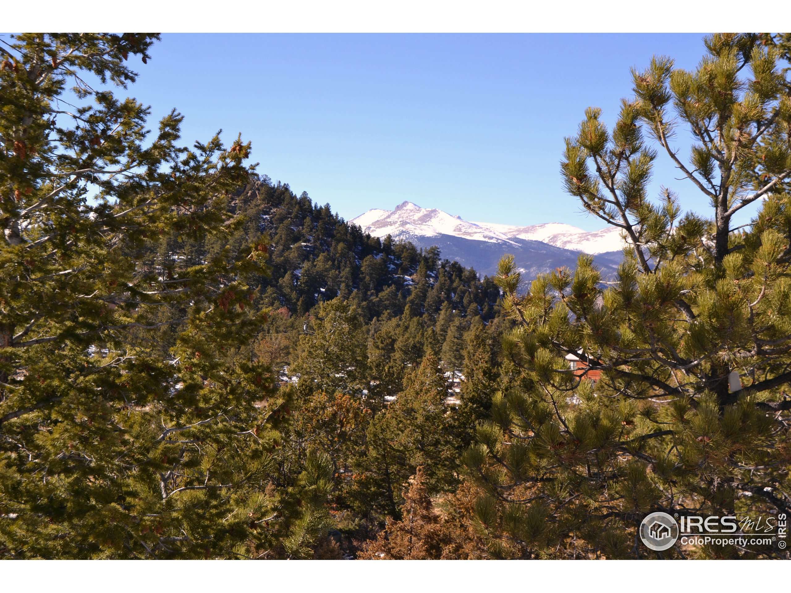 Estes Park, CO 80517,71 Pine Tree Dr