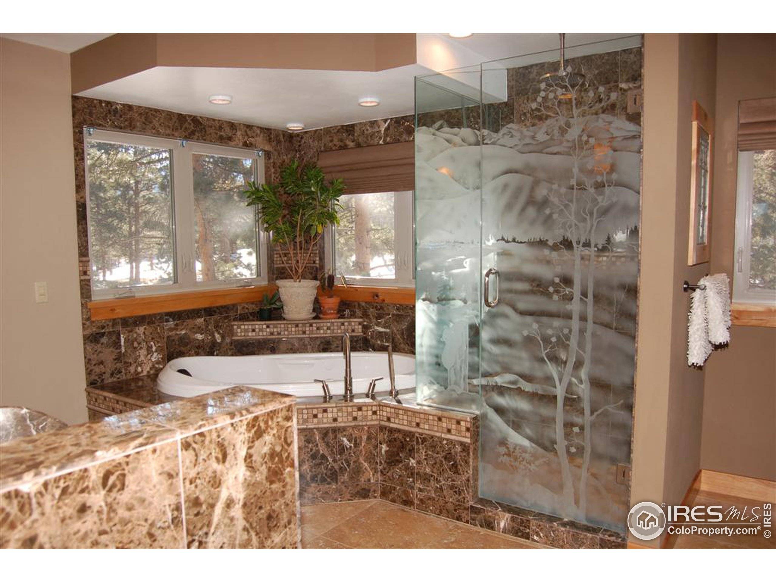 Estes Park, CO 80517,1034 Lexington Ln