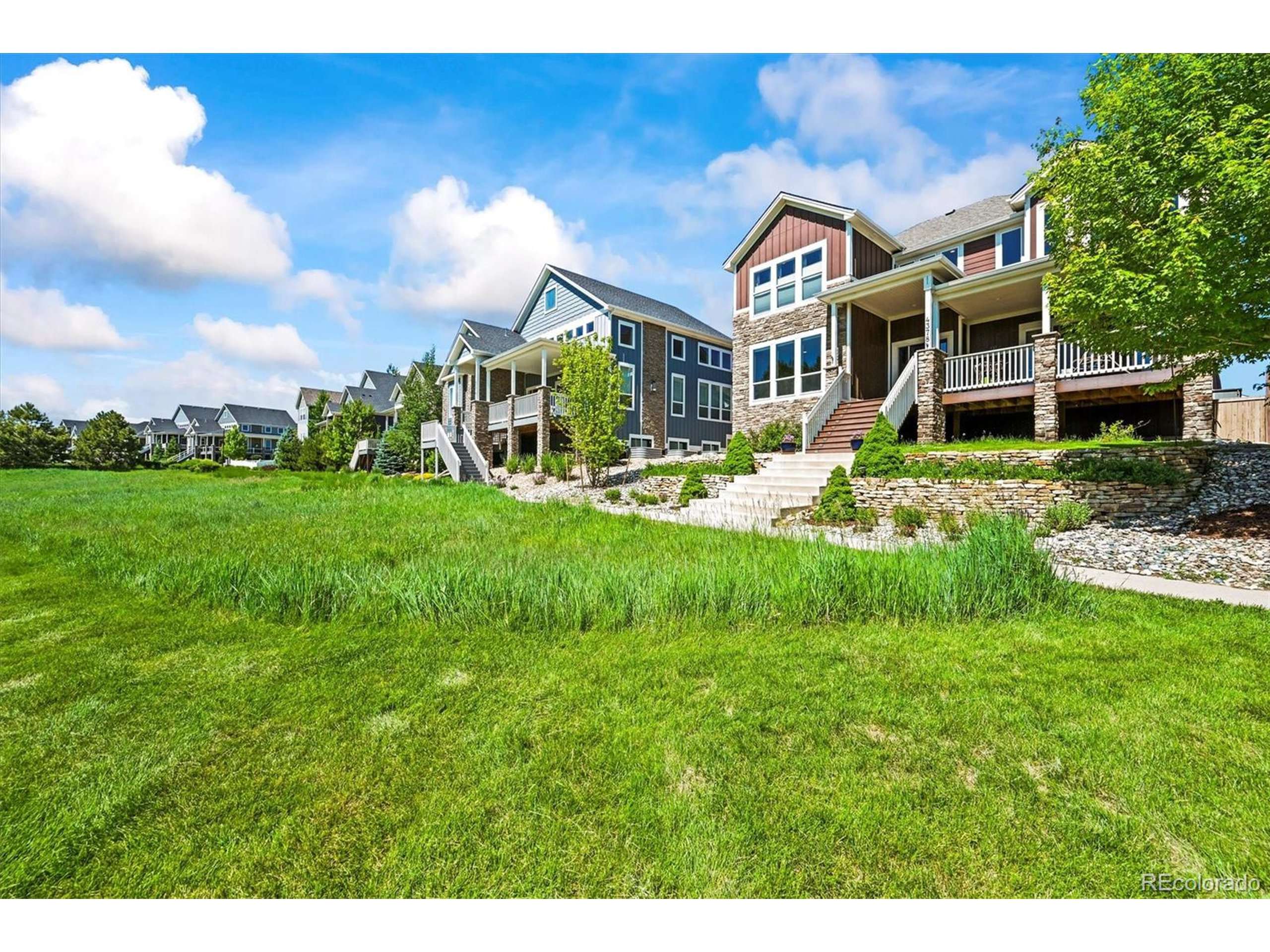 Castle Rock, CO 80109,4378 Fell Mist Way