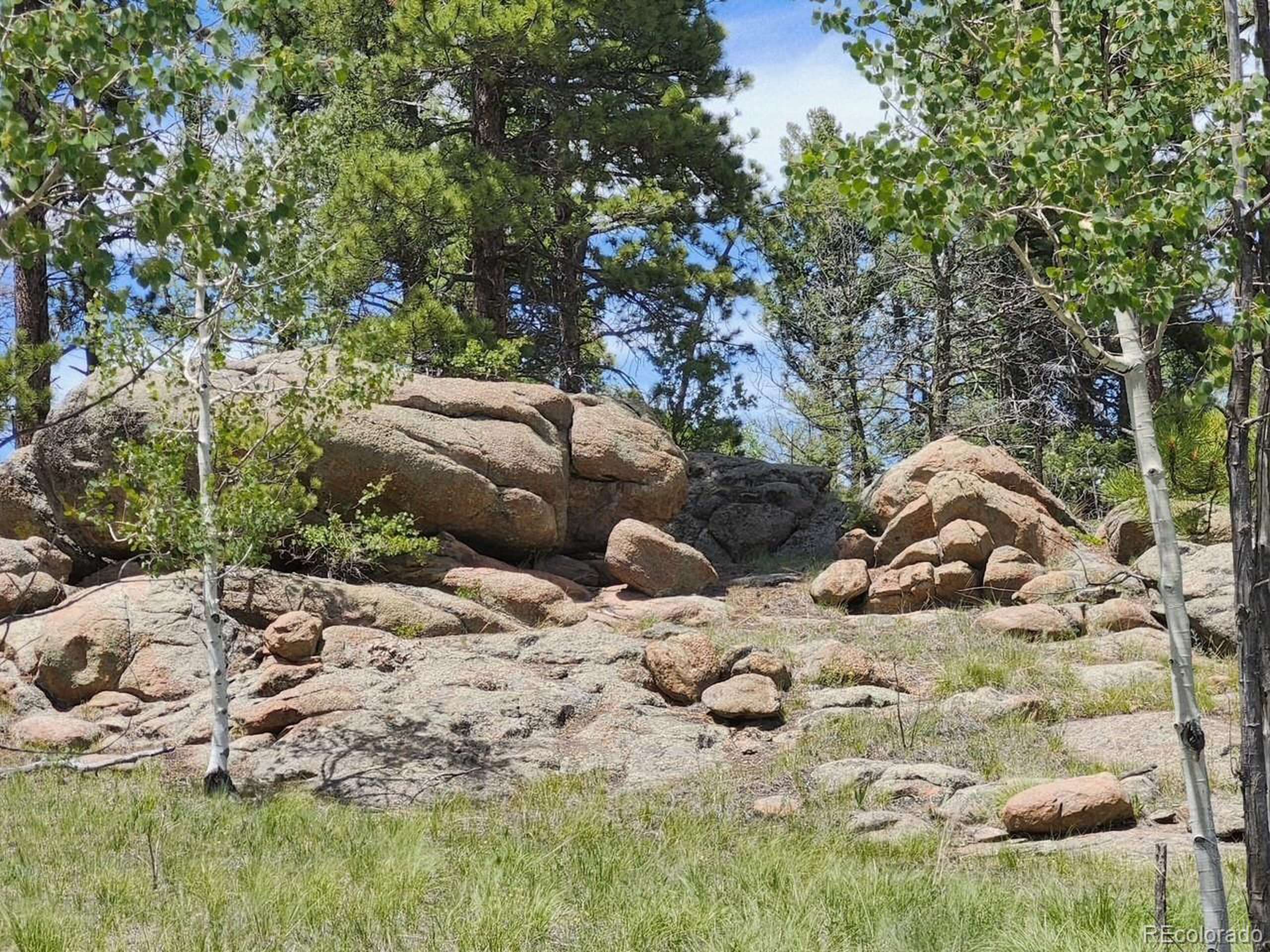 Florissant, CO 80816,501 Cr-403